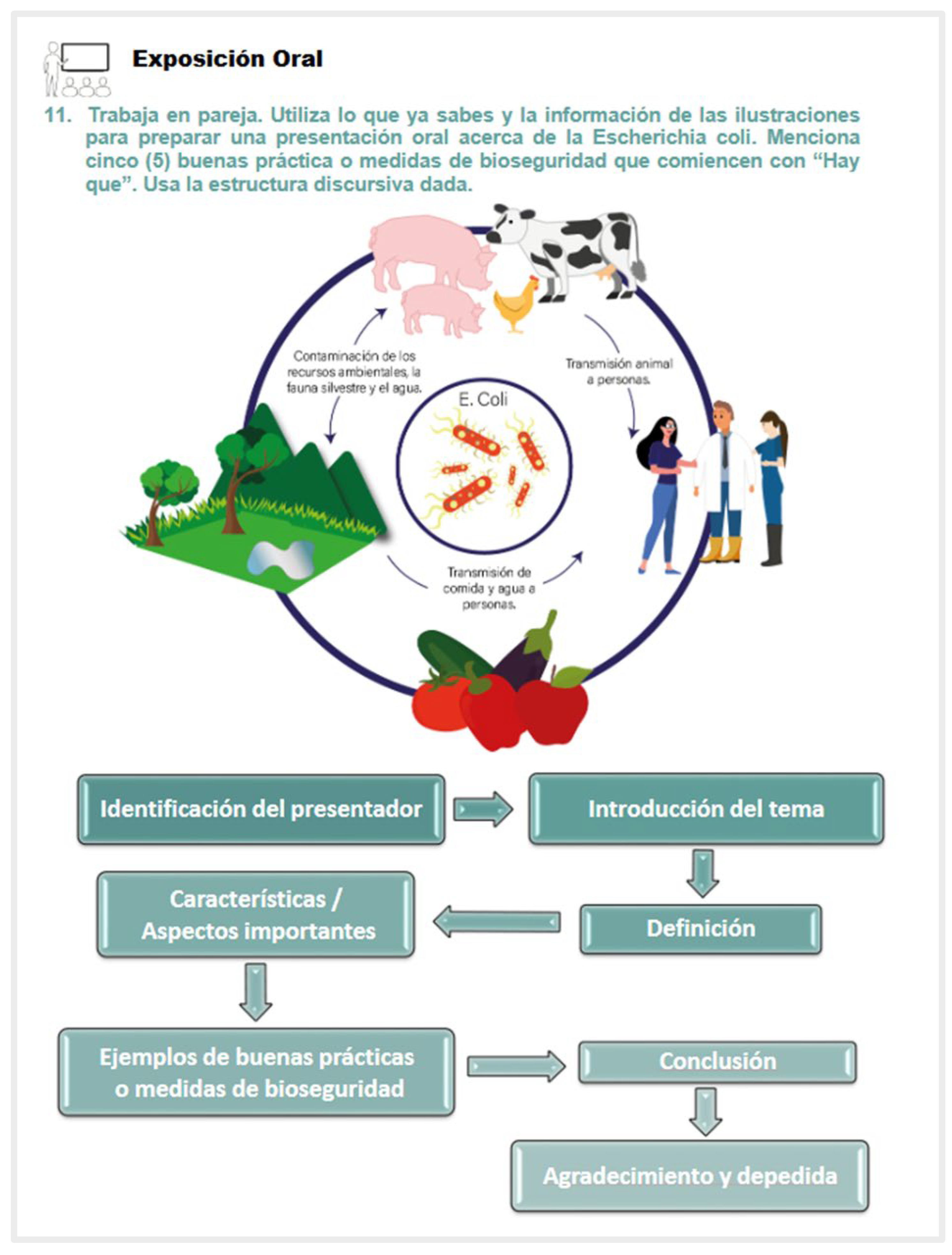 Animals 14 03639 g010