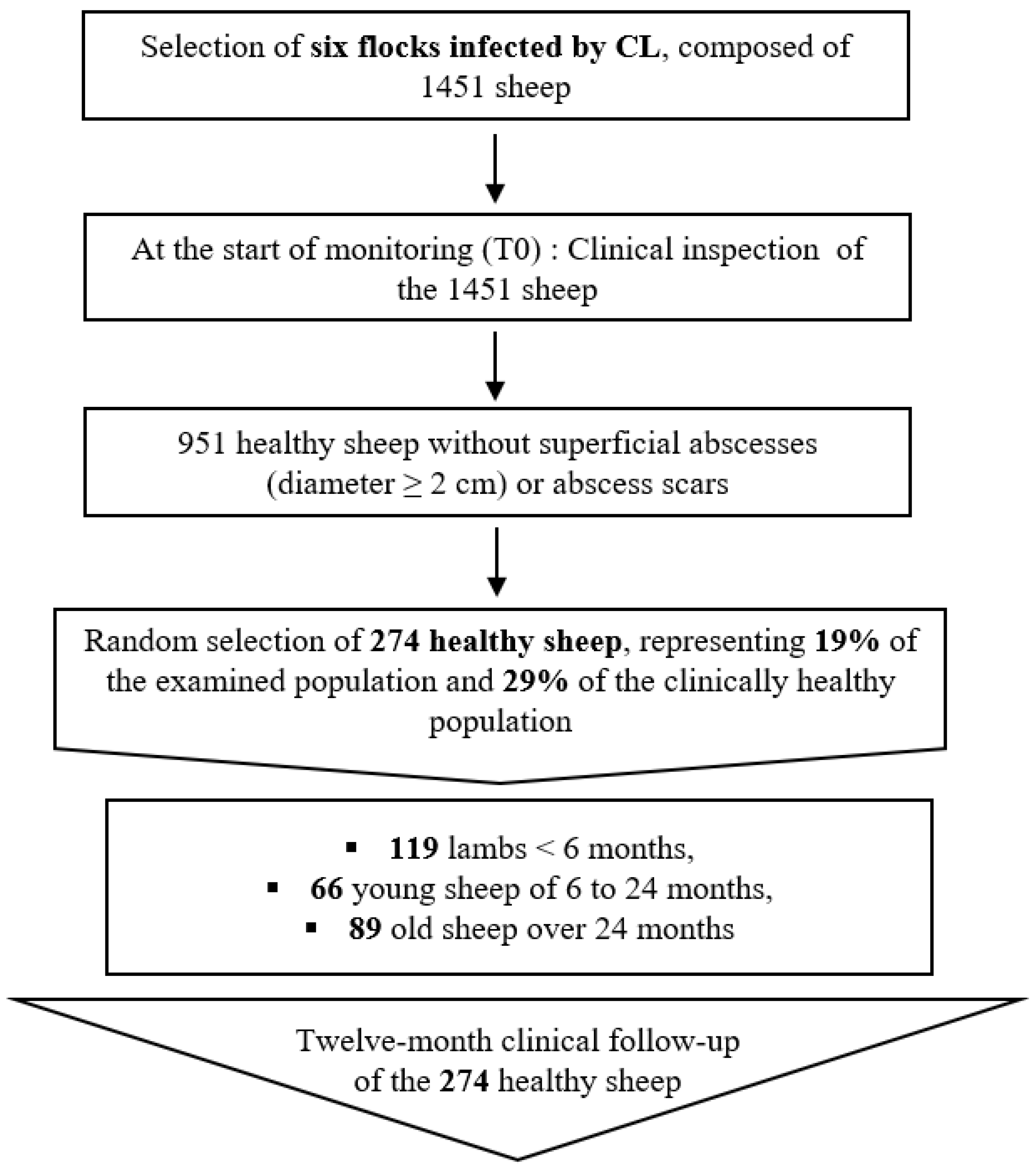 Animals 14 03641 g001