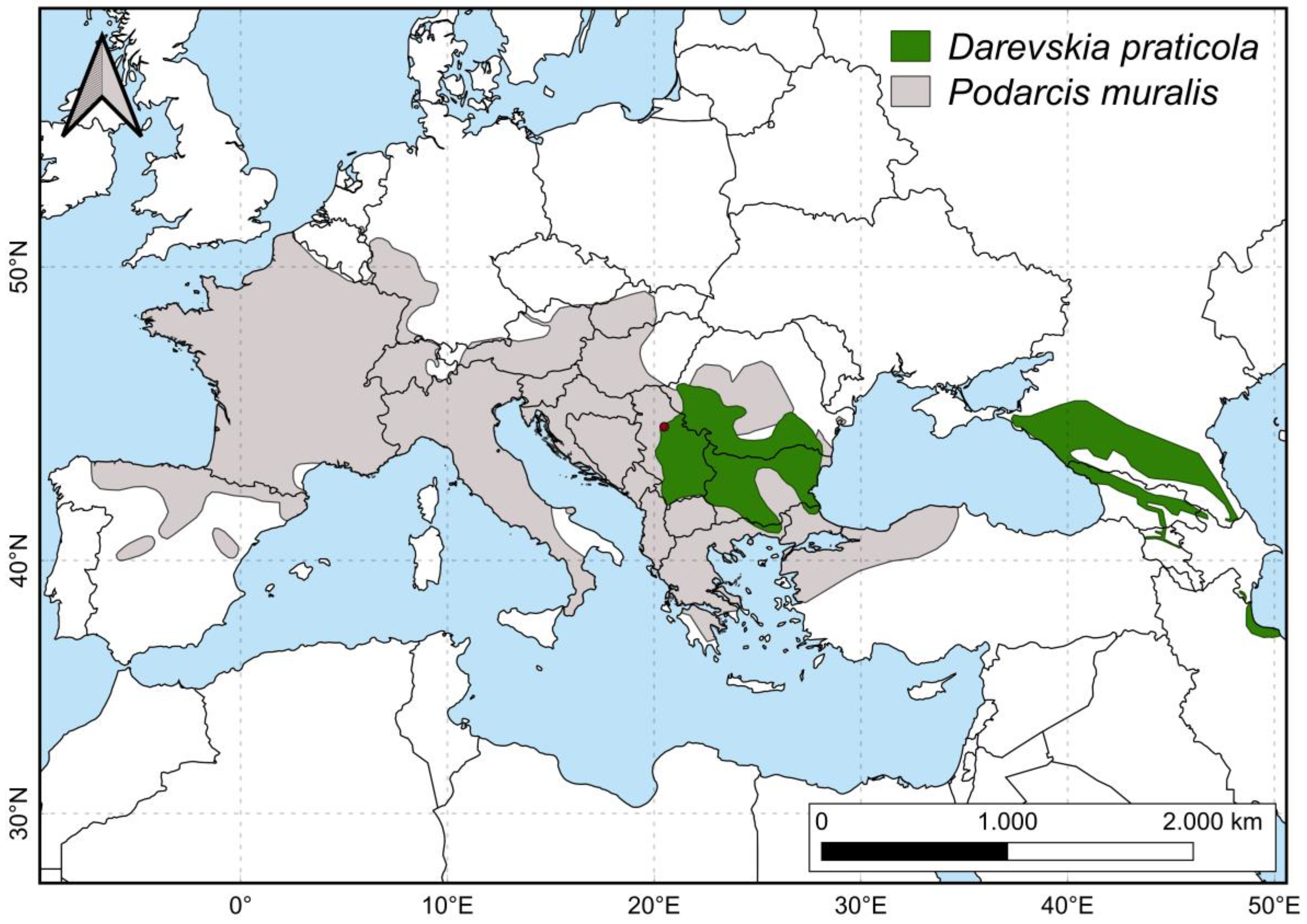 Animals 14 03642 g001