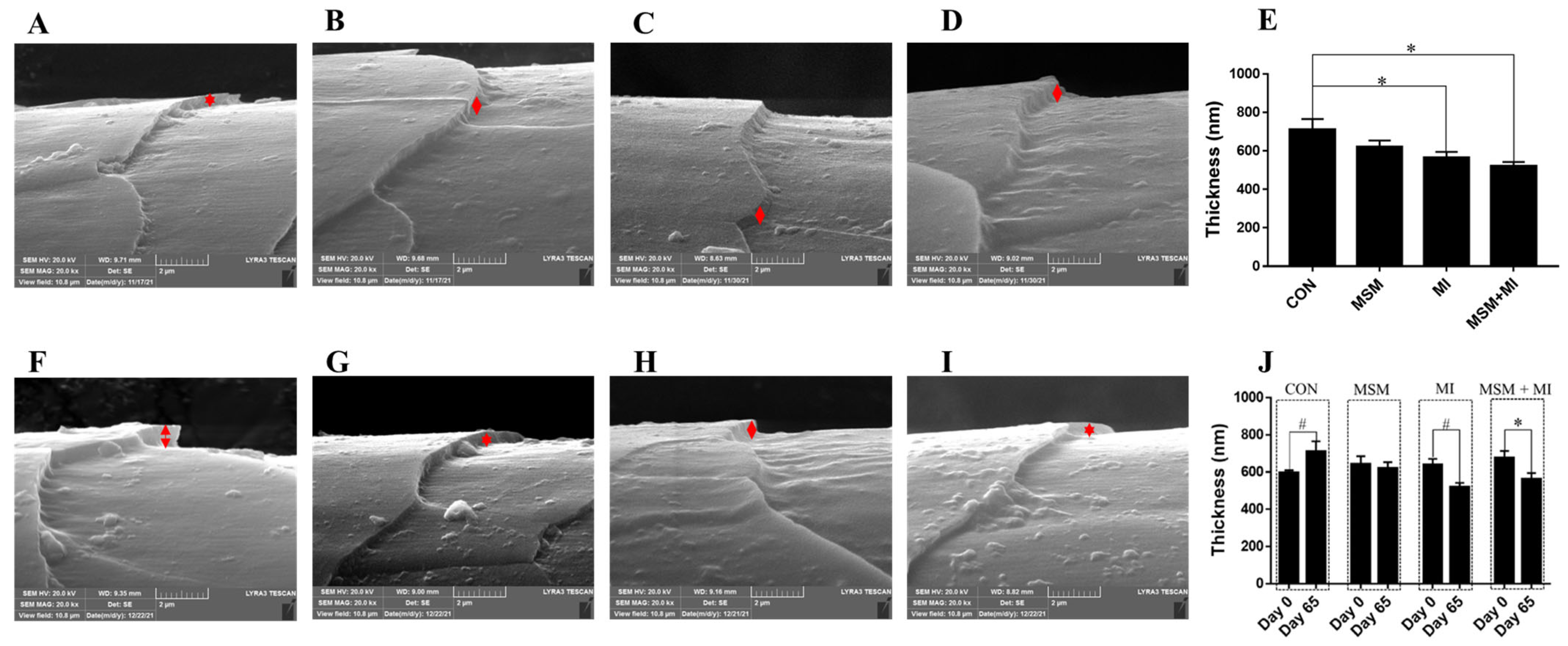 Animals 14 03643 g002