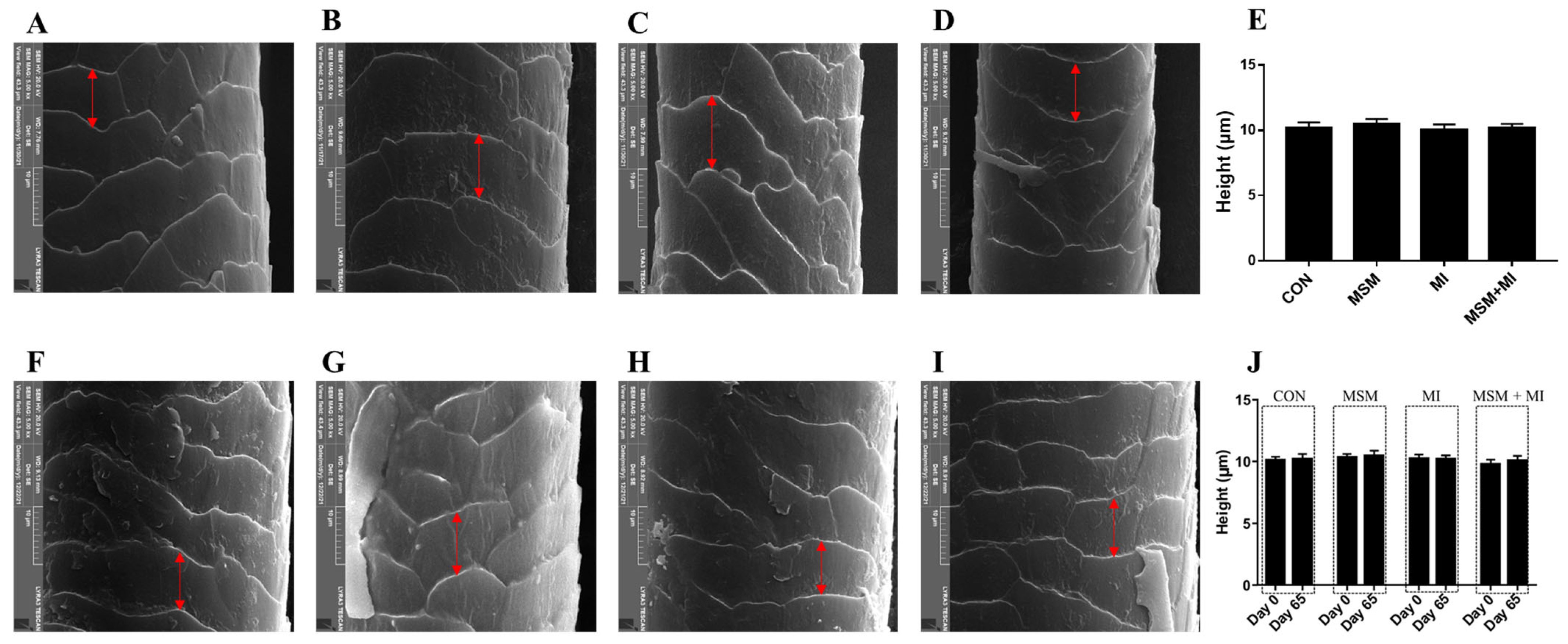 Animals 14 03643 g003