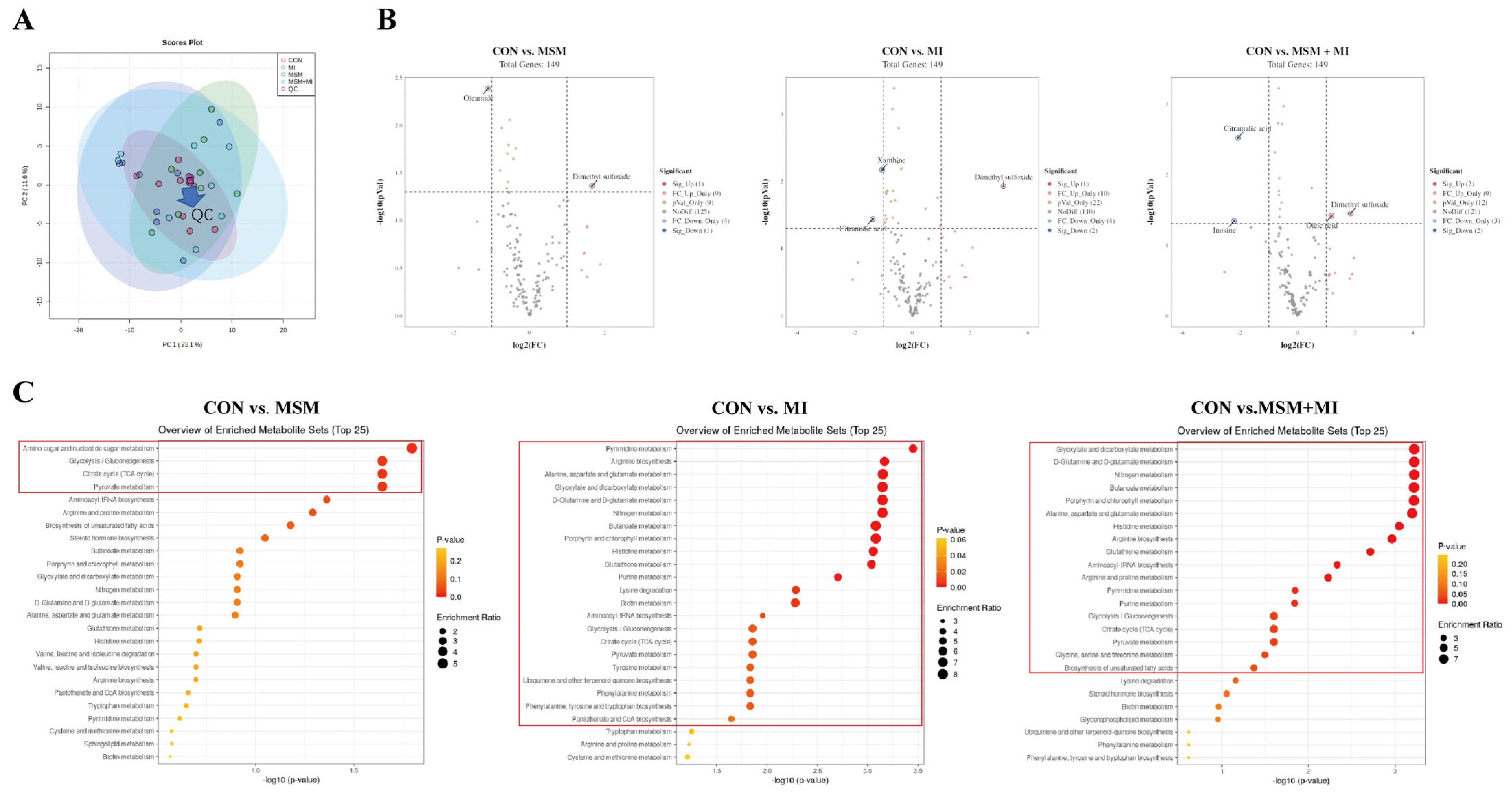 Animals 14 03643 g006