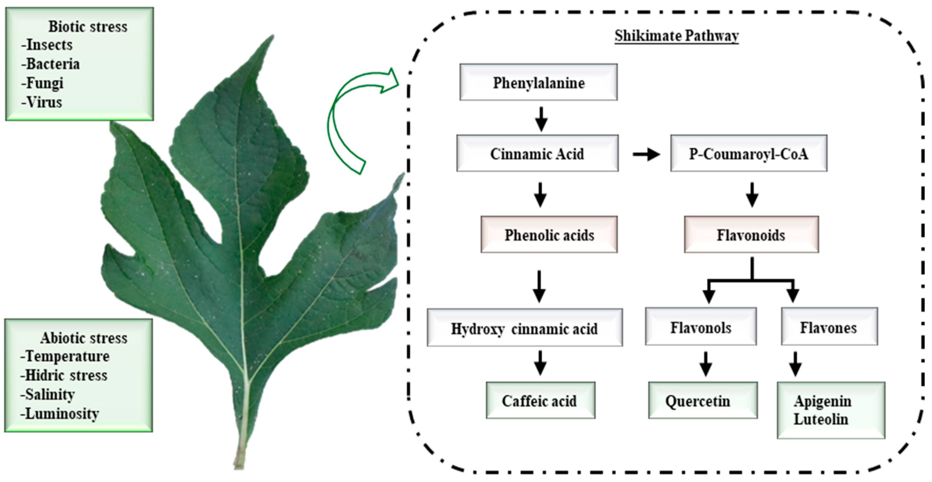 Animals 14 03648 g001