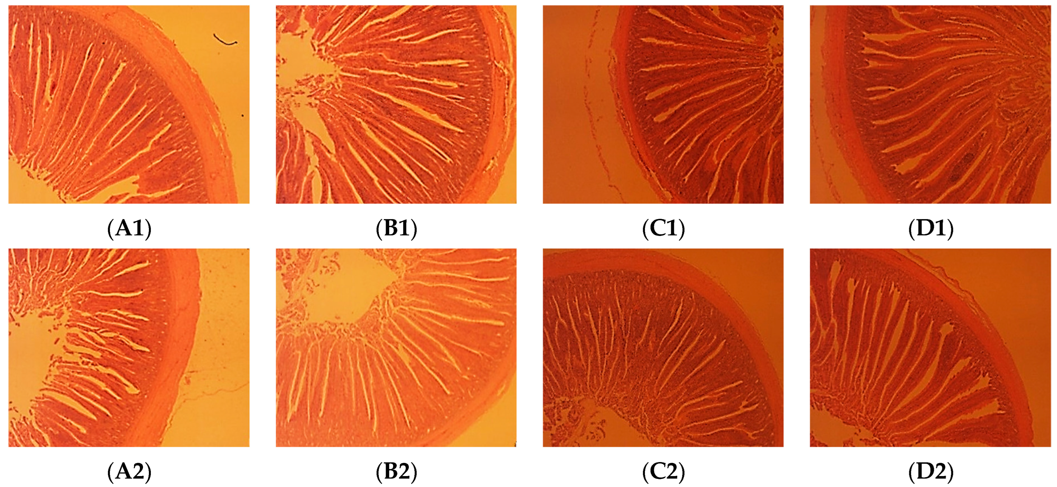 Animals 14 03650 g001