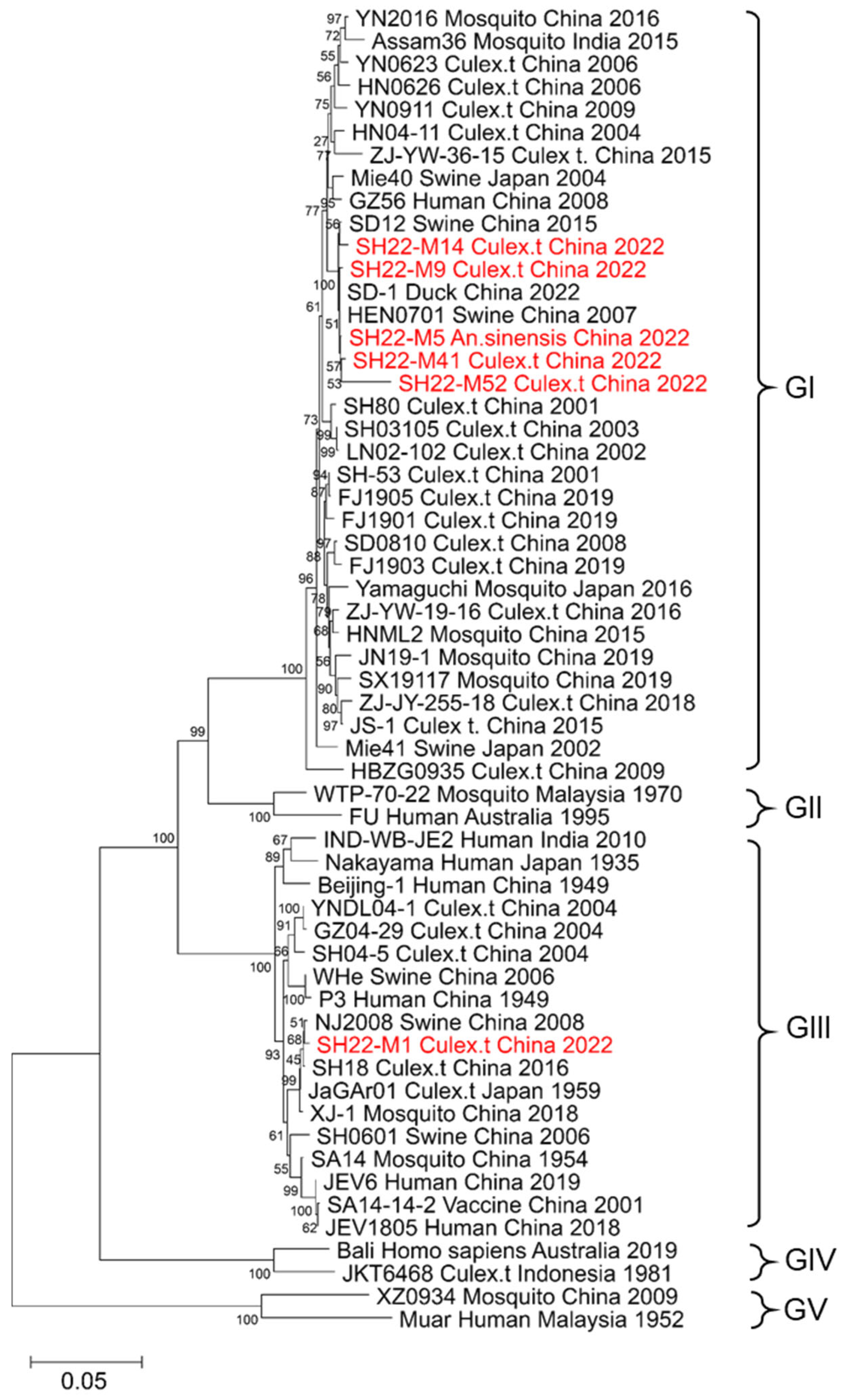 Genetic Characterization of Japanese Encephalitis Virus