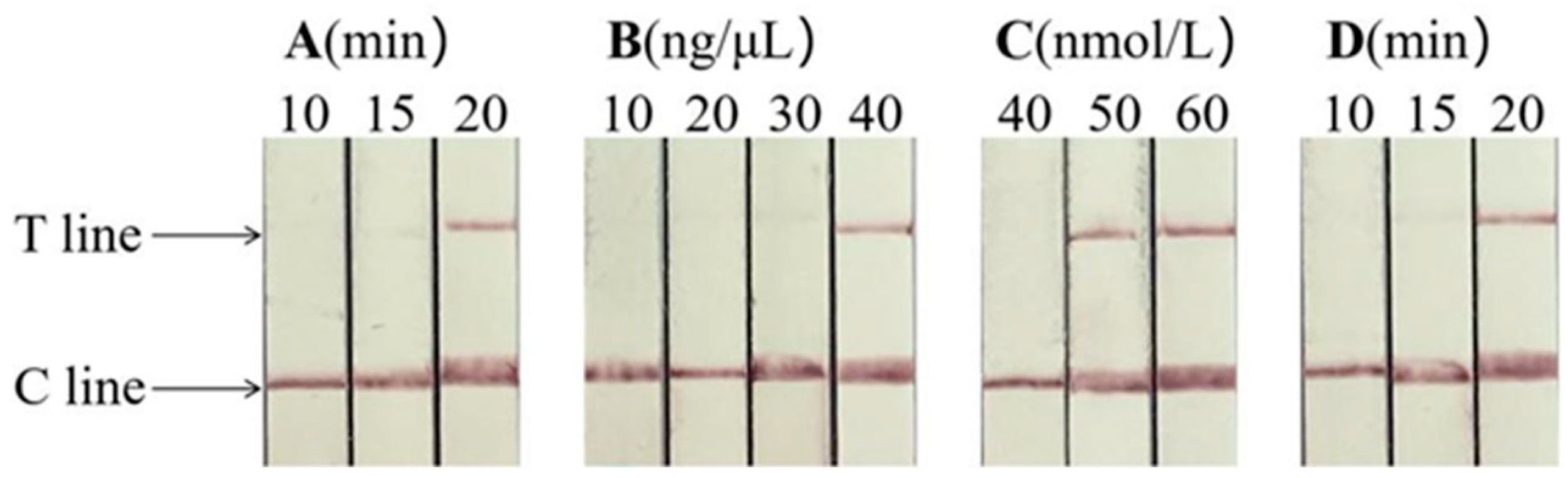 Animals 14 03663 g004