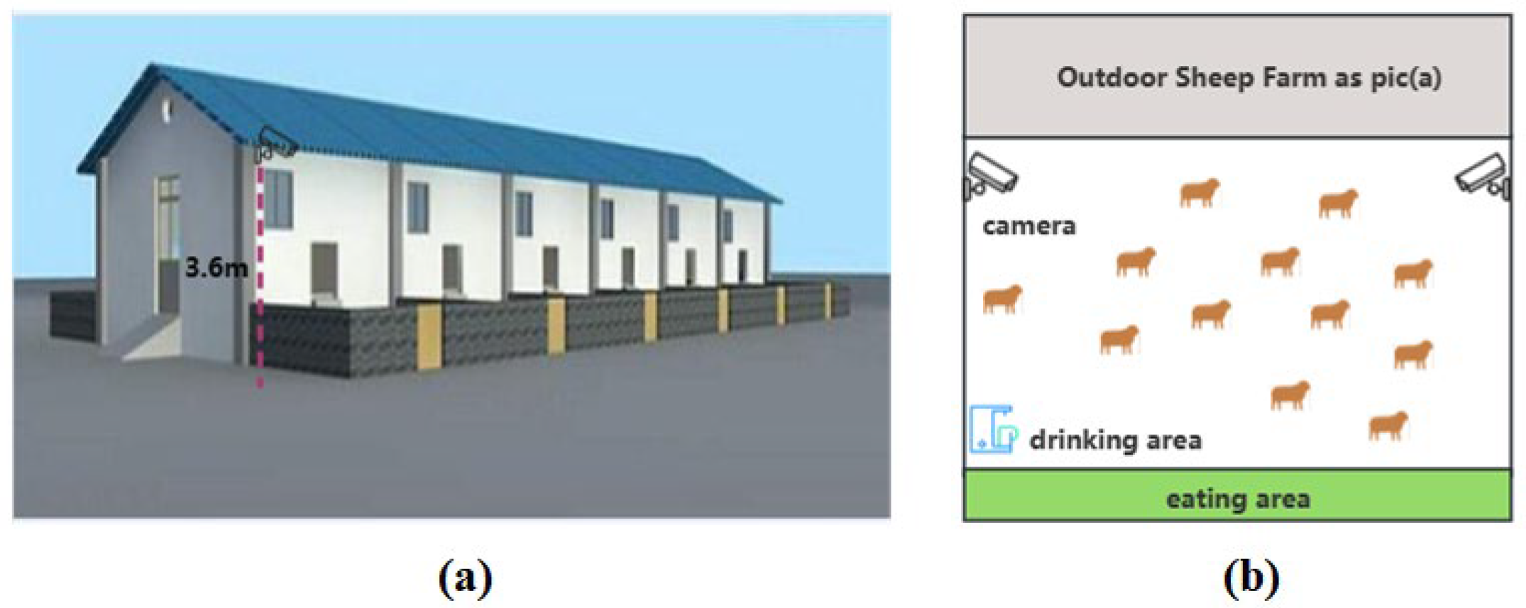 Animals 14 03667 g002