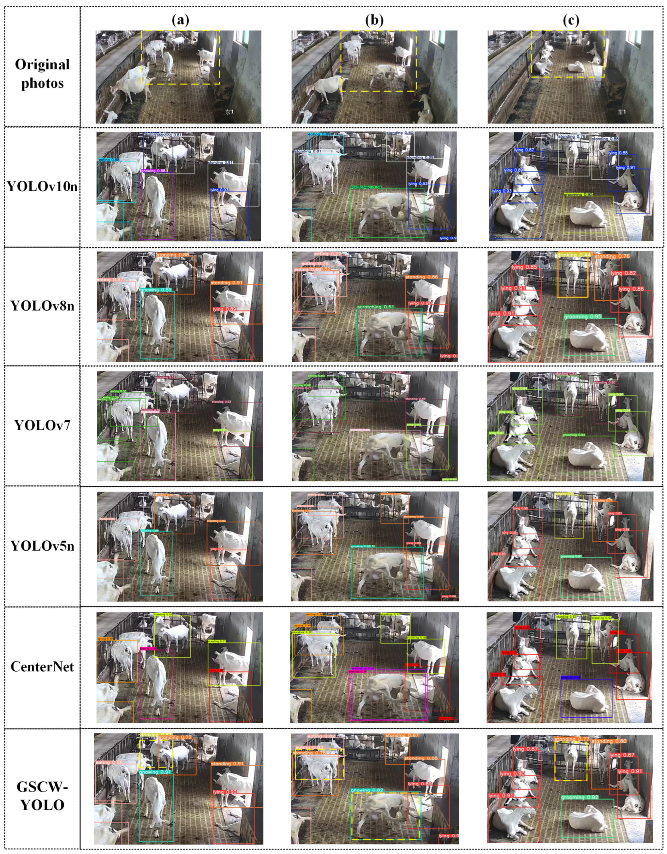 Animals 14 03667 g004