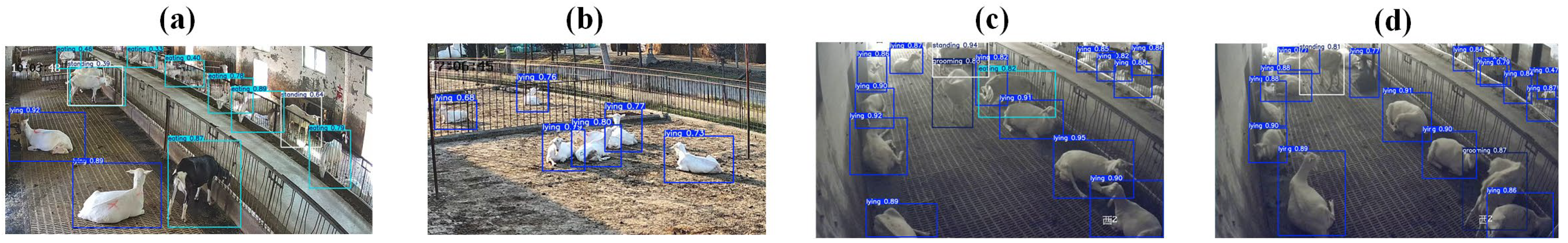 Animals 14 03667 g005