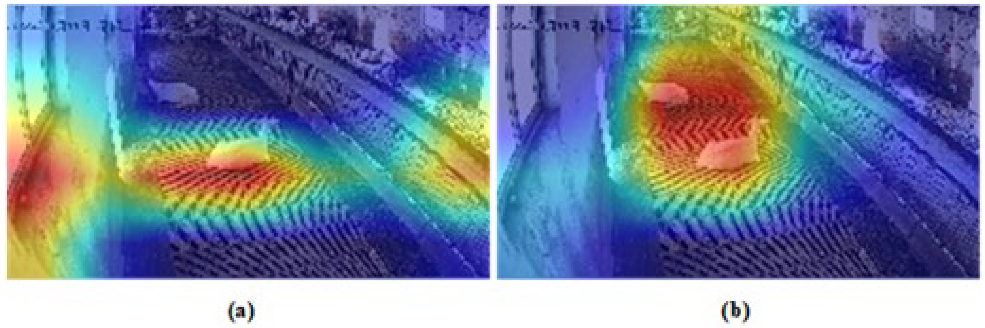 Animals 14 03667 g006