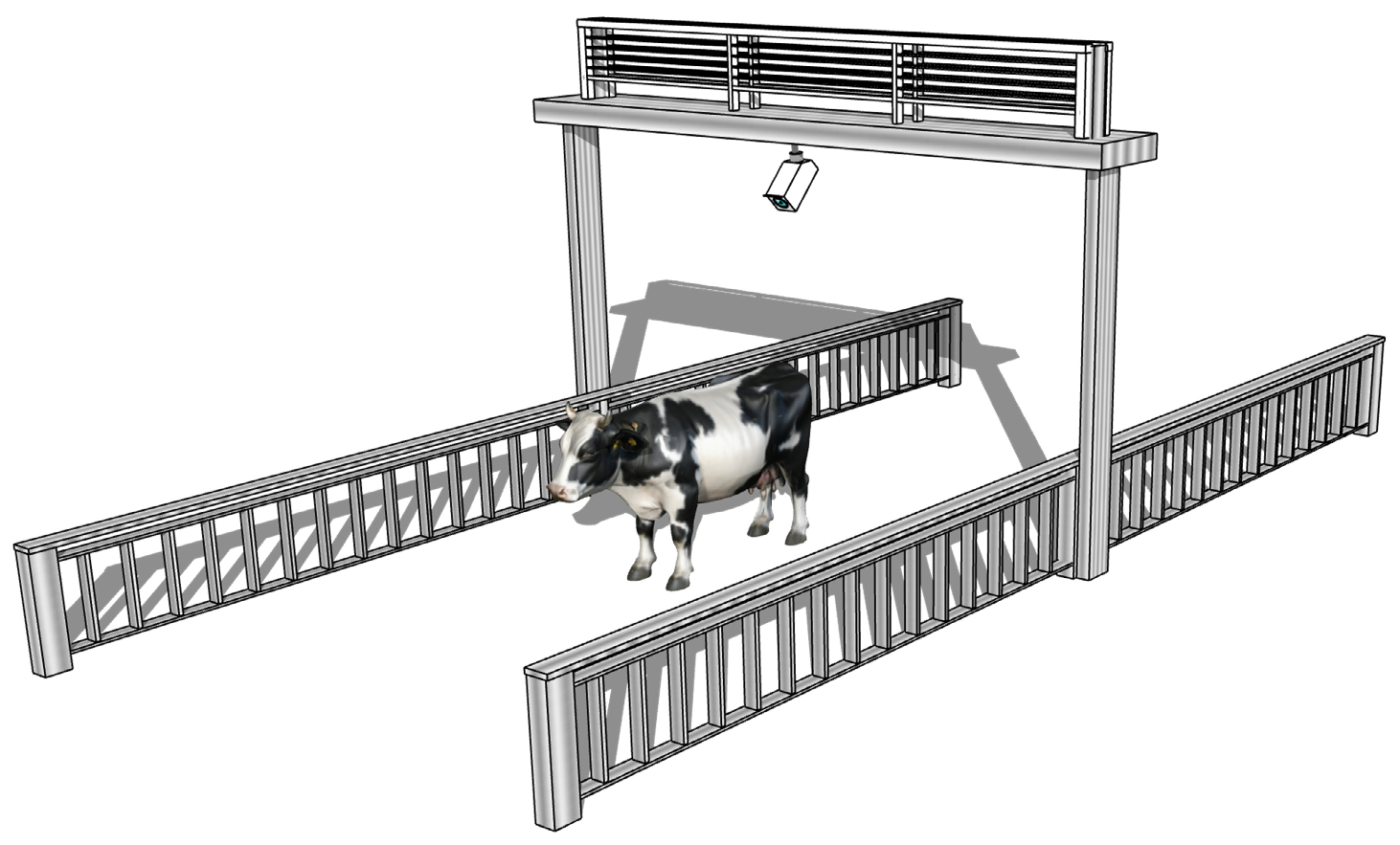 Animals 14 03668 g001