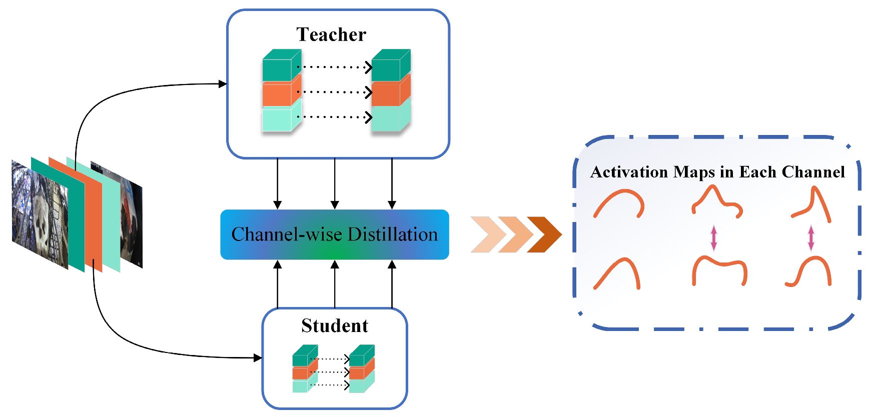 Animals 14 03668 g006