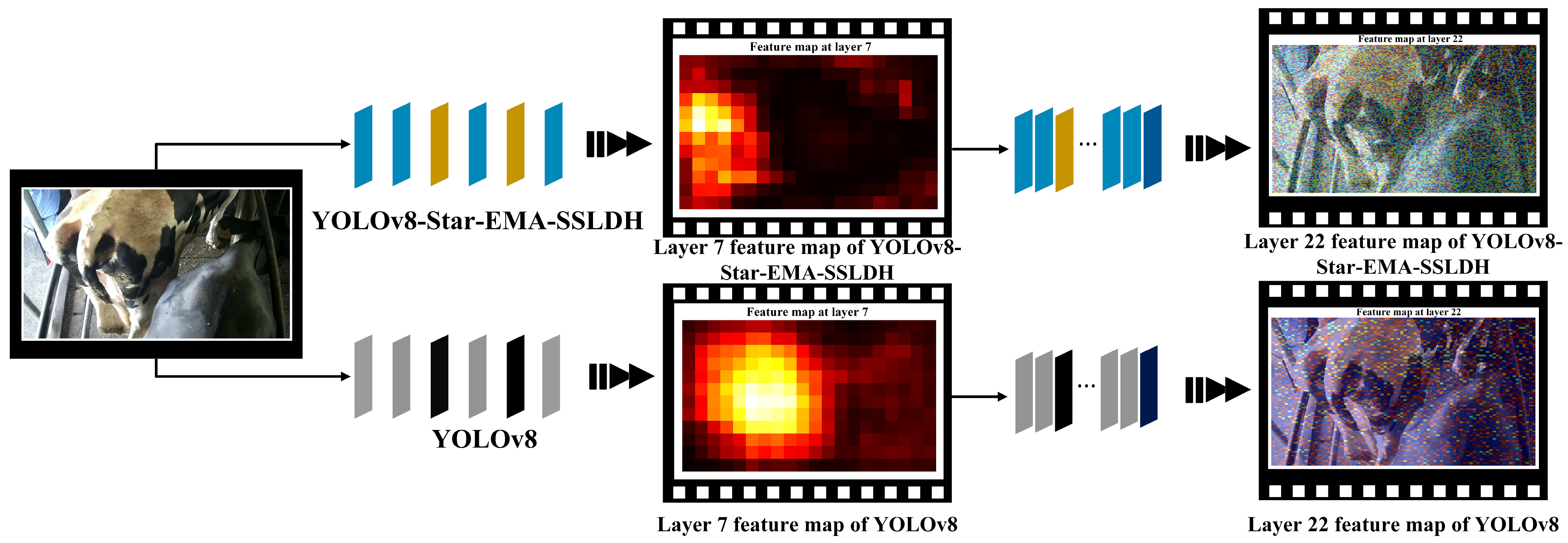 Animals 14 03668 g008