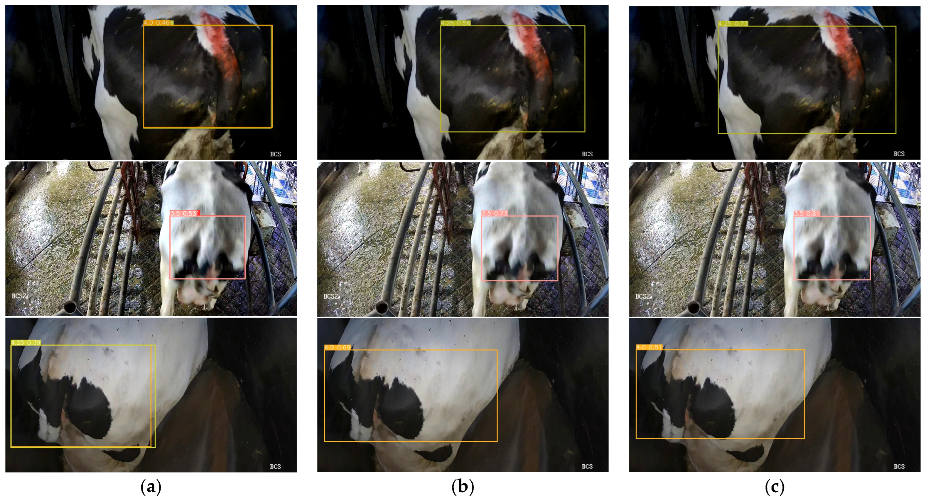 Animals 14 03668 g009