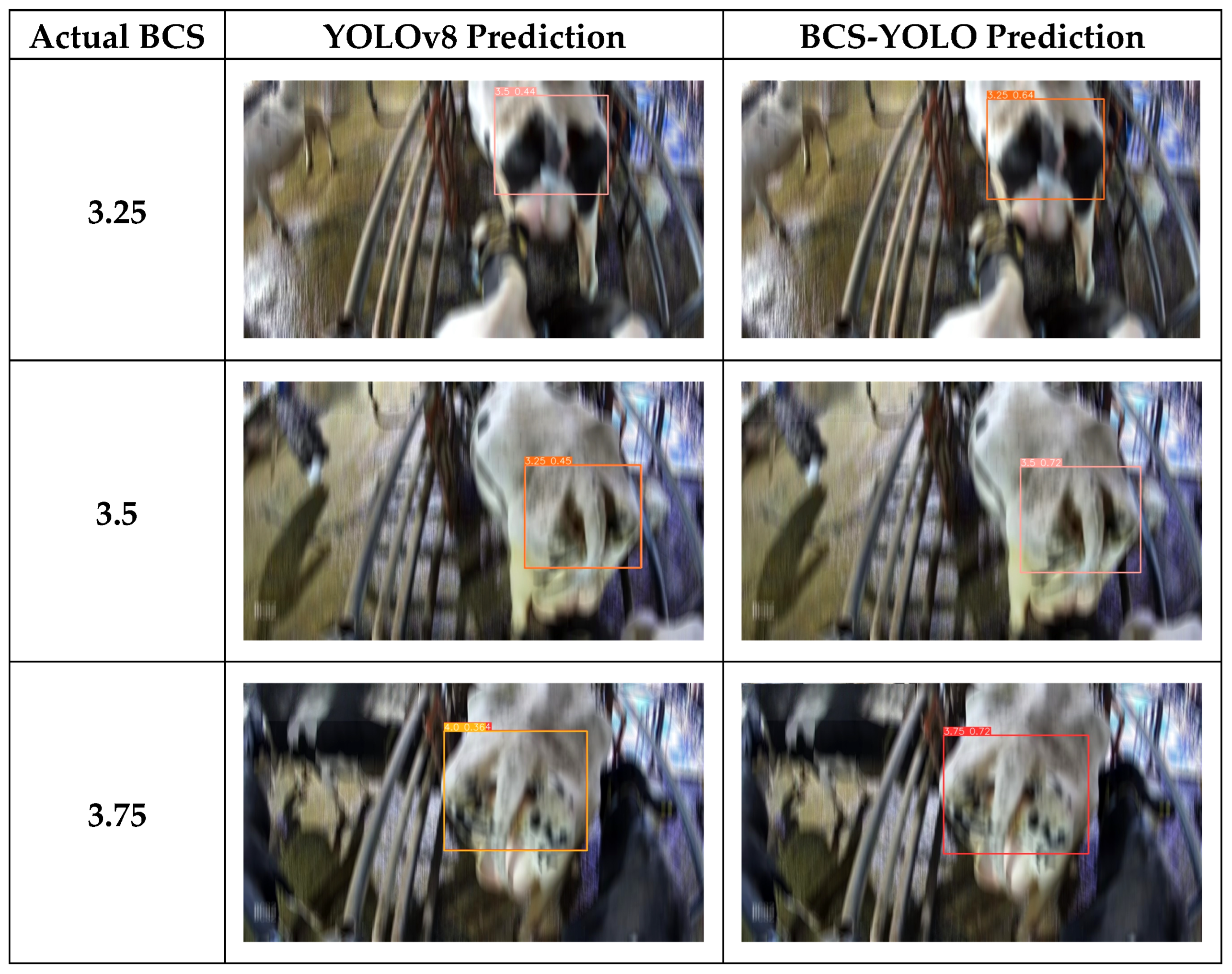 Animals 14 03668 g012a