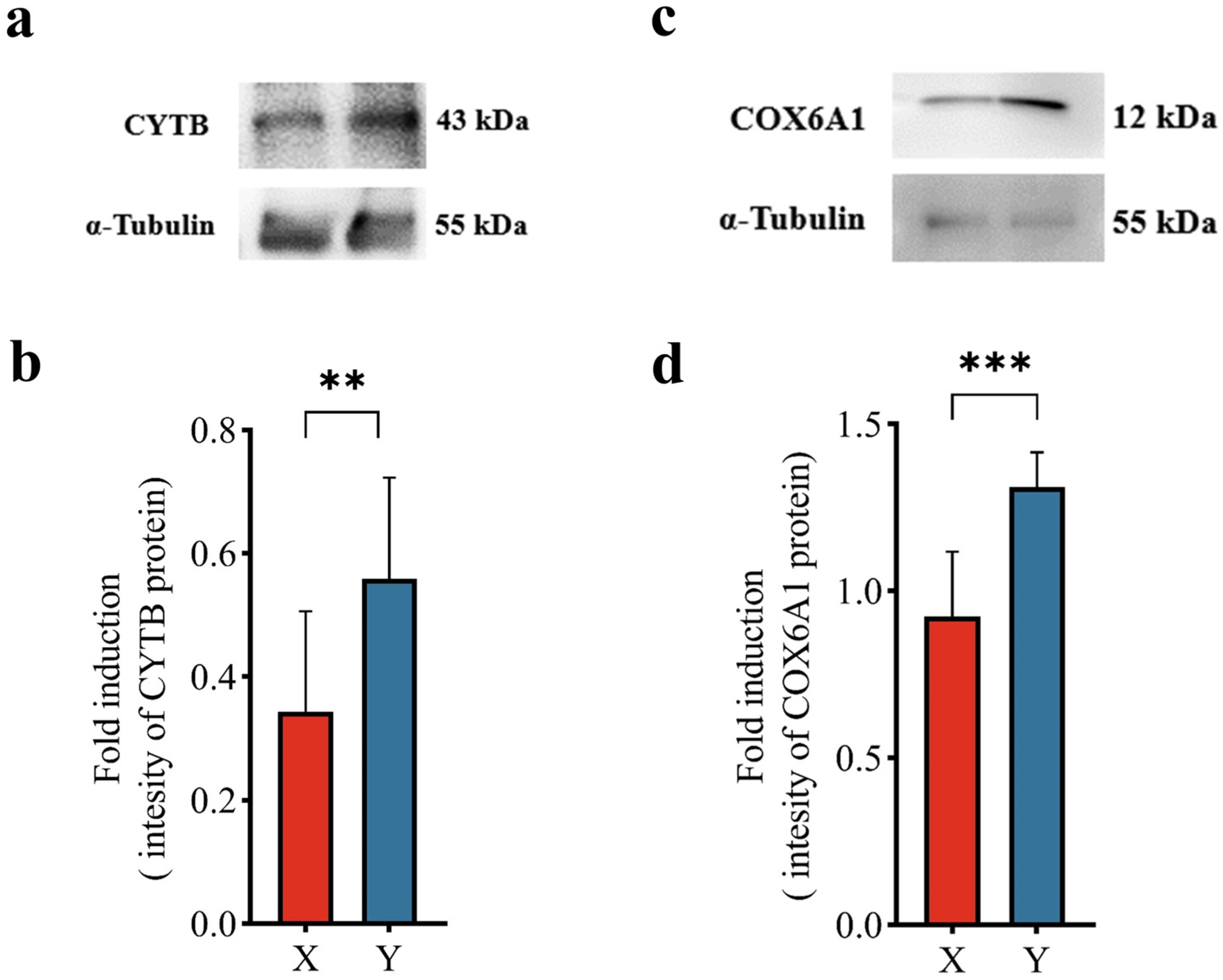 Animals 14 03672 g003