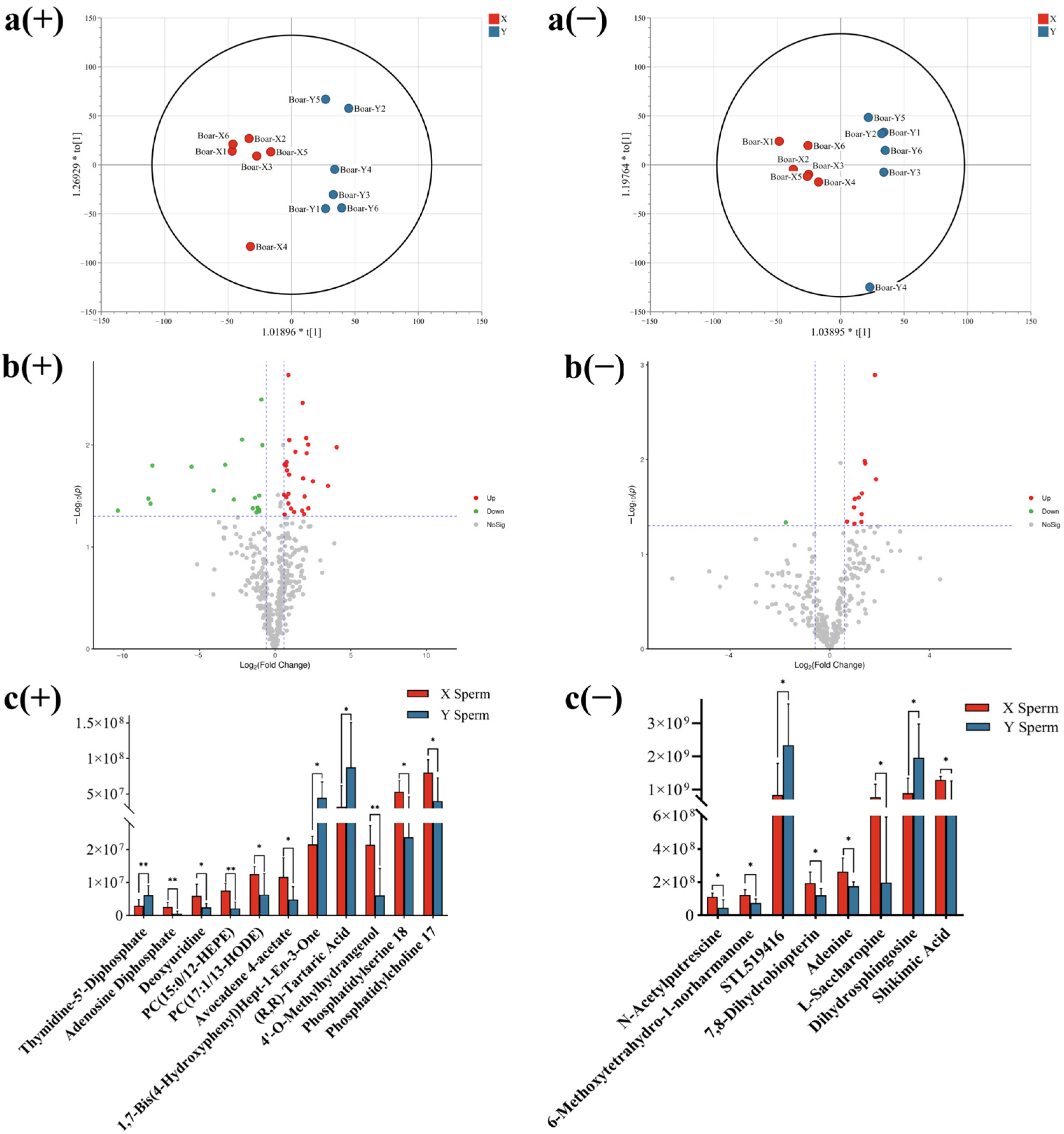 Animals 14 03672 g004