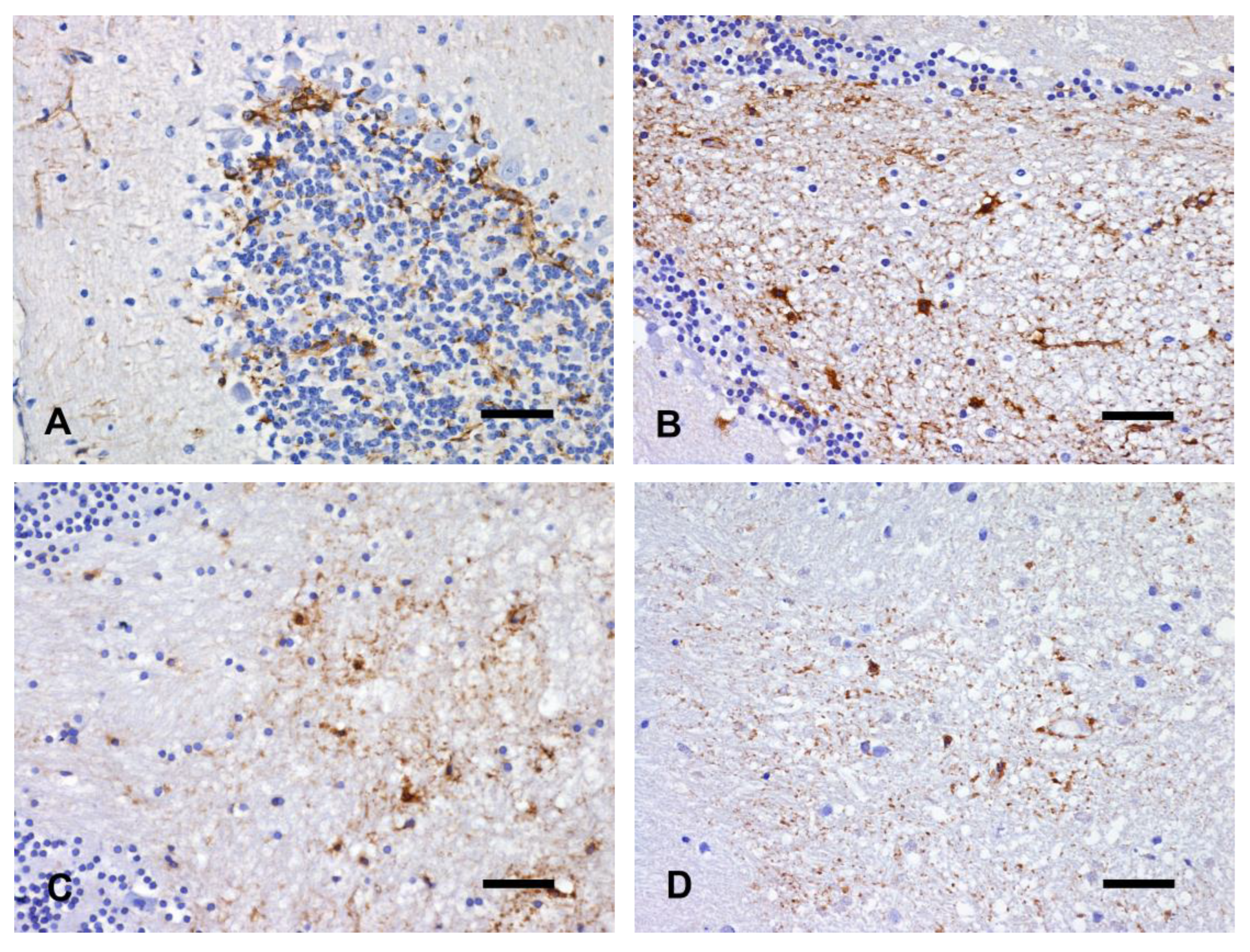 Animals 14 03676 g009