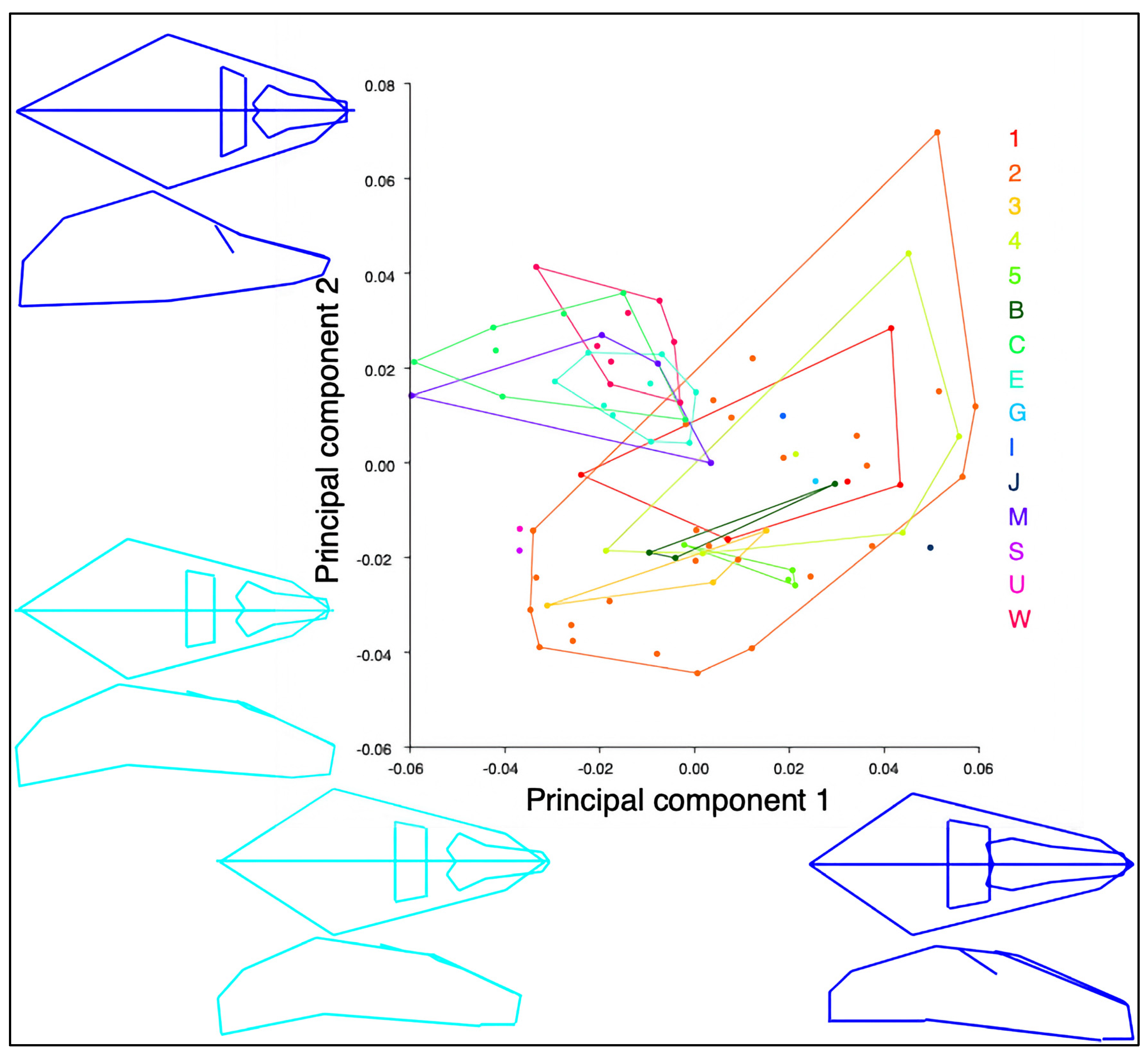 Animals 14 03680 g005