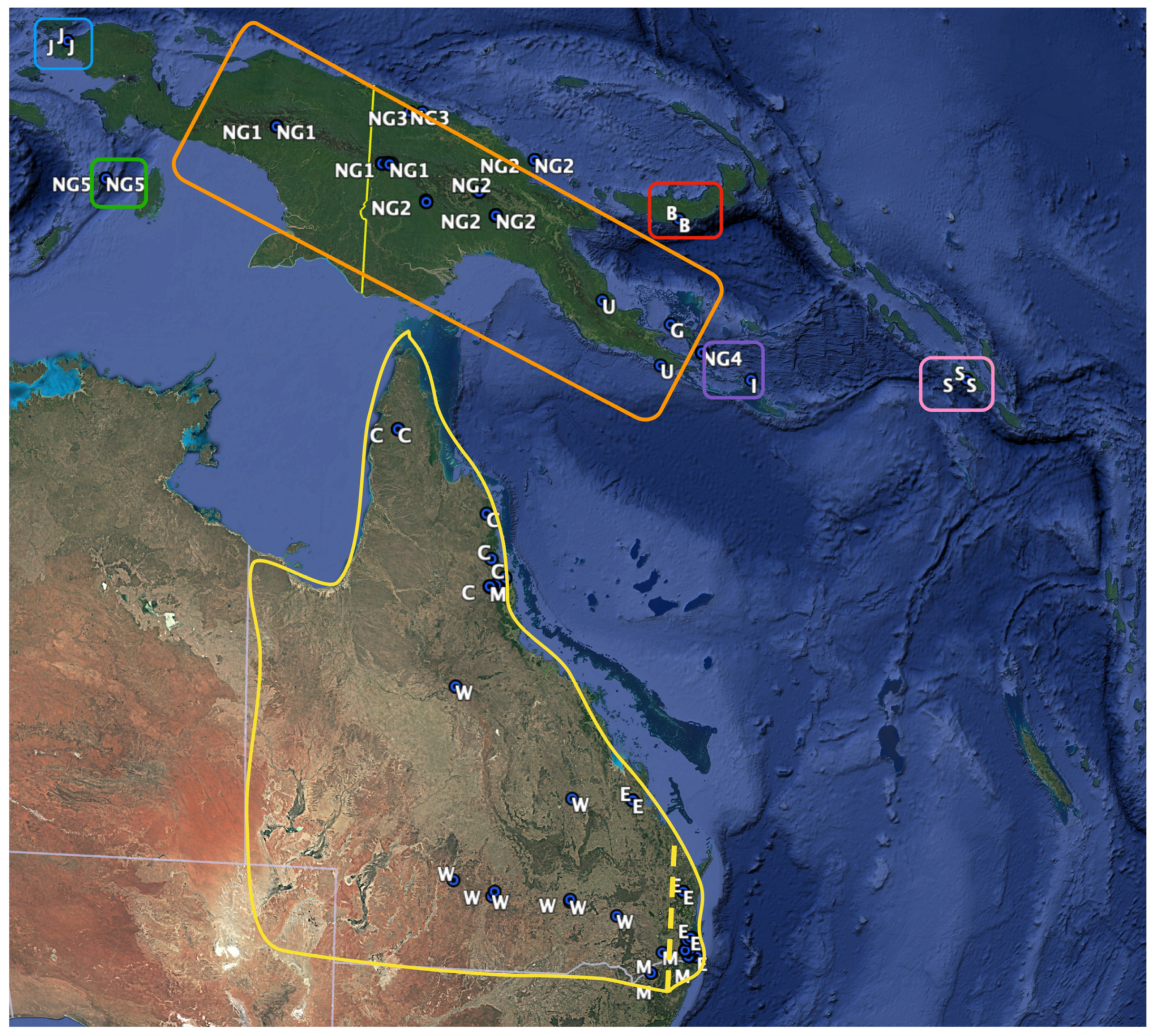 Animals 14 03680 g007