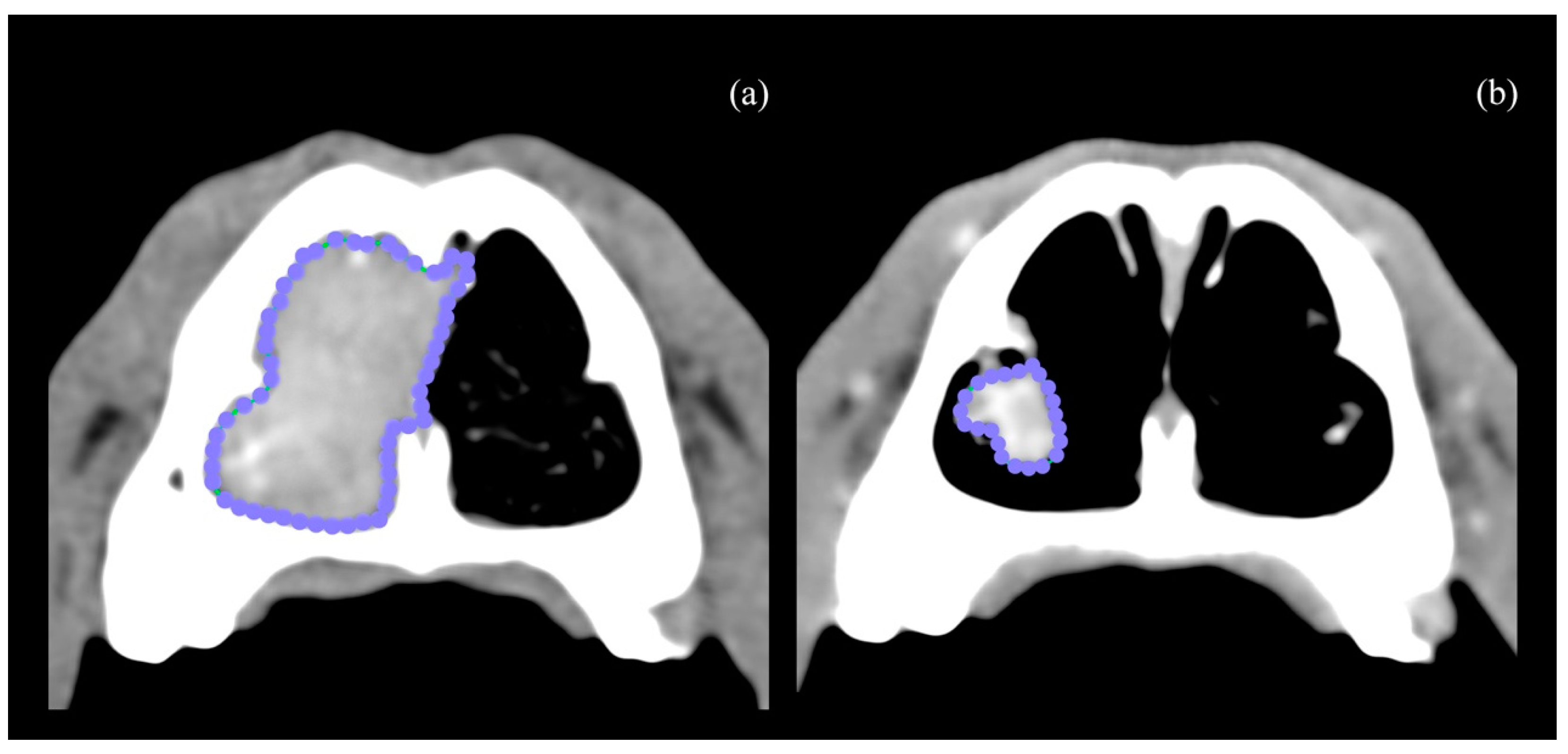 Animals 14 03682 g001