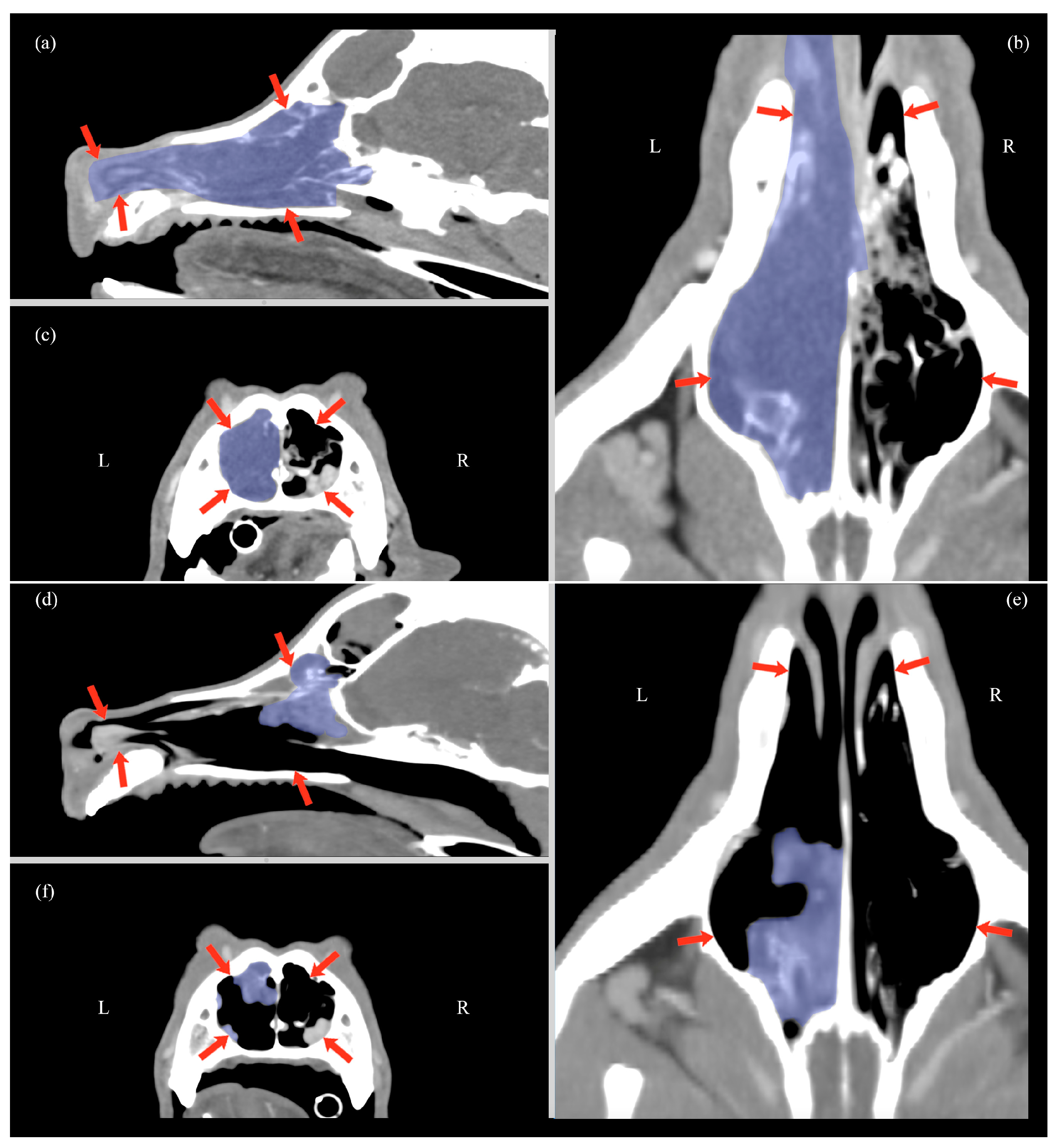 Animals 14 03682 g003