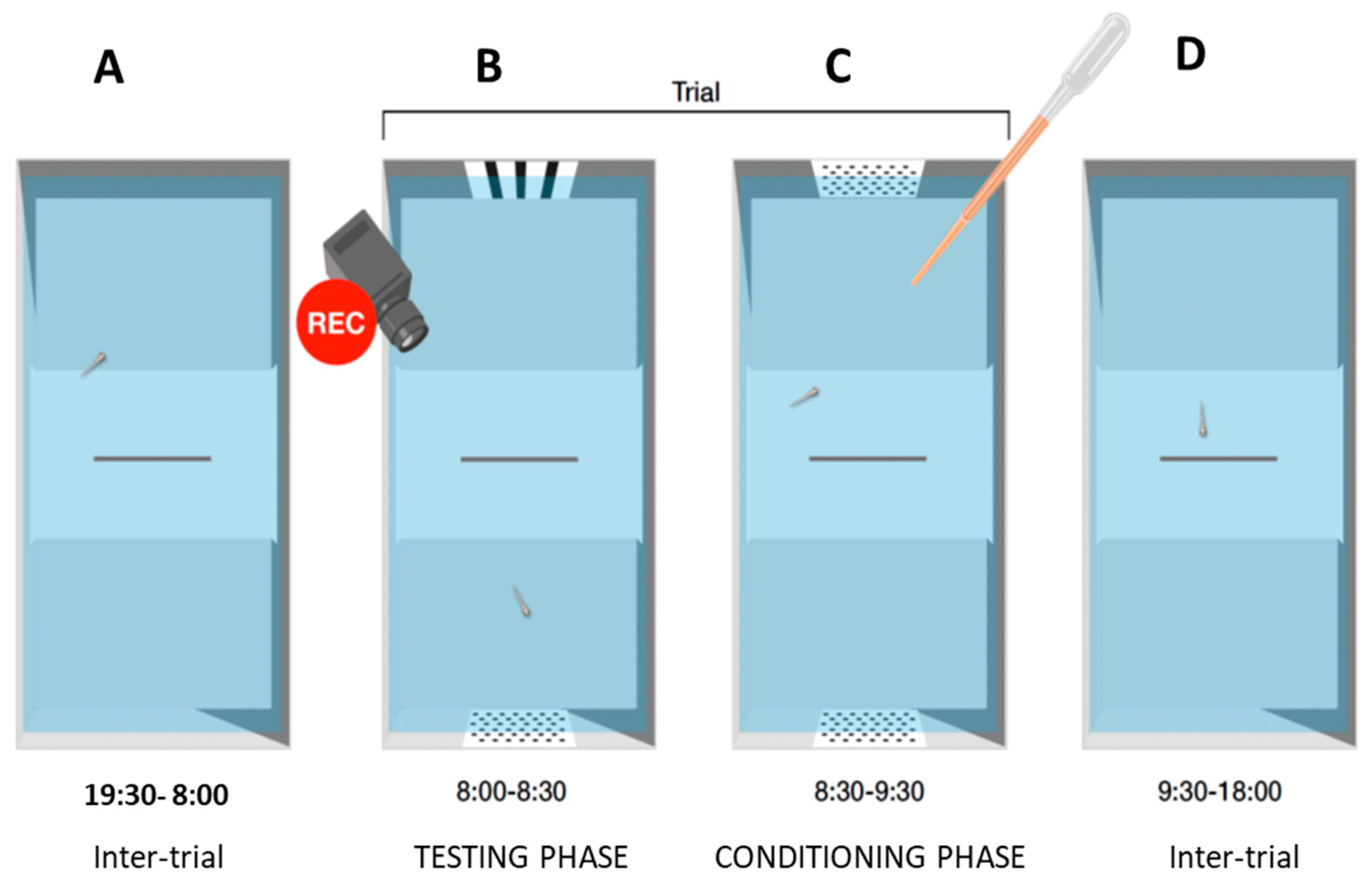 Animals 14 03684 g004
