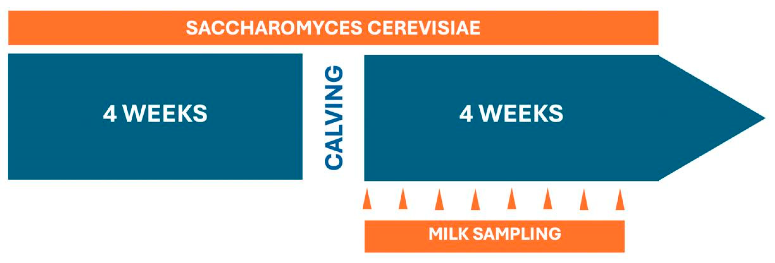 Animals 14 03689 g001