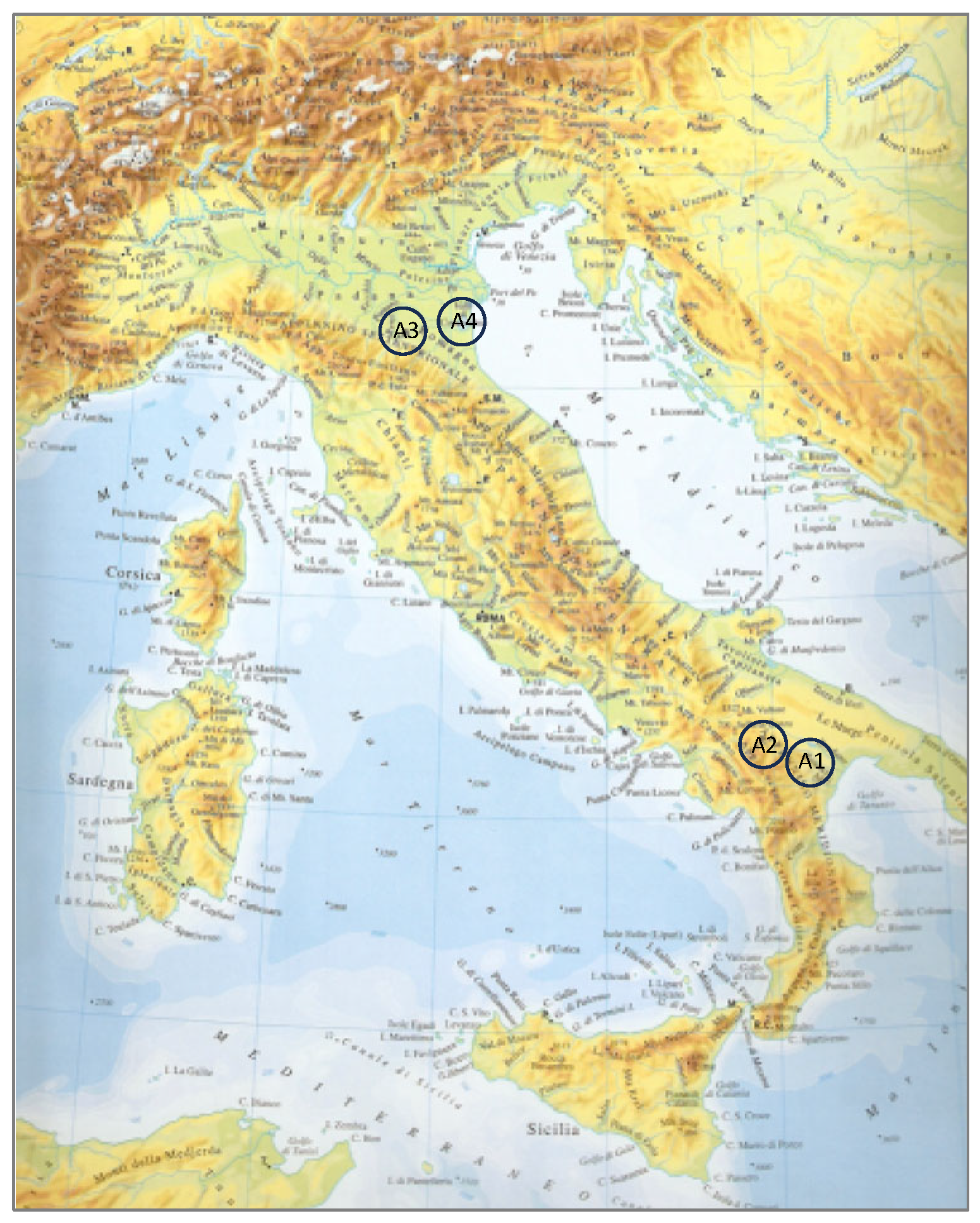 Animals 14 03690 g001