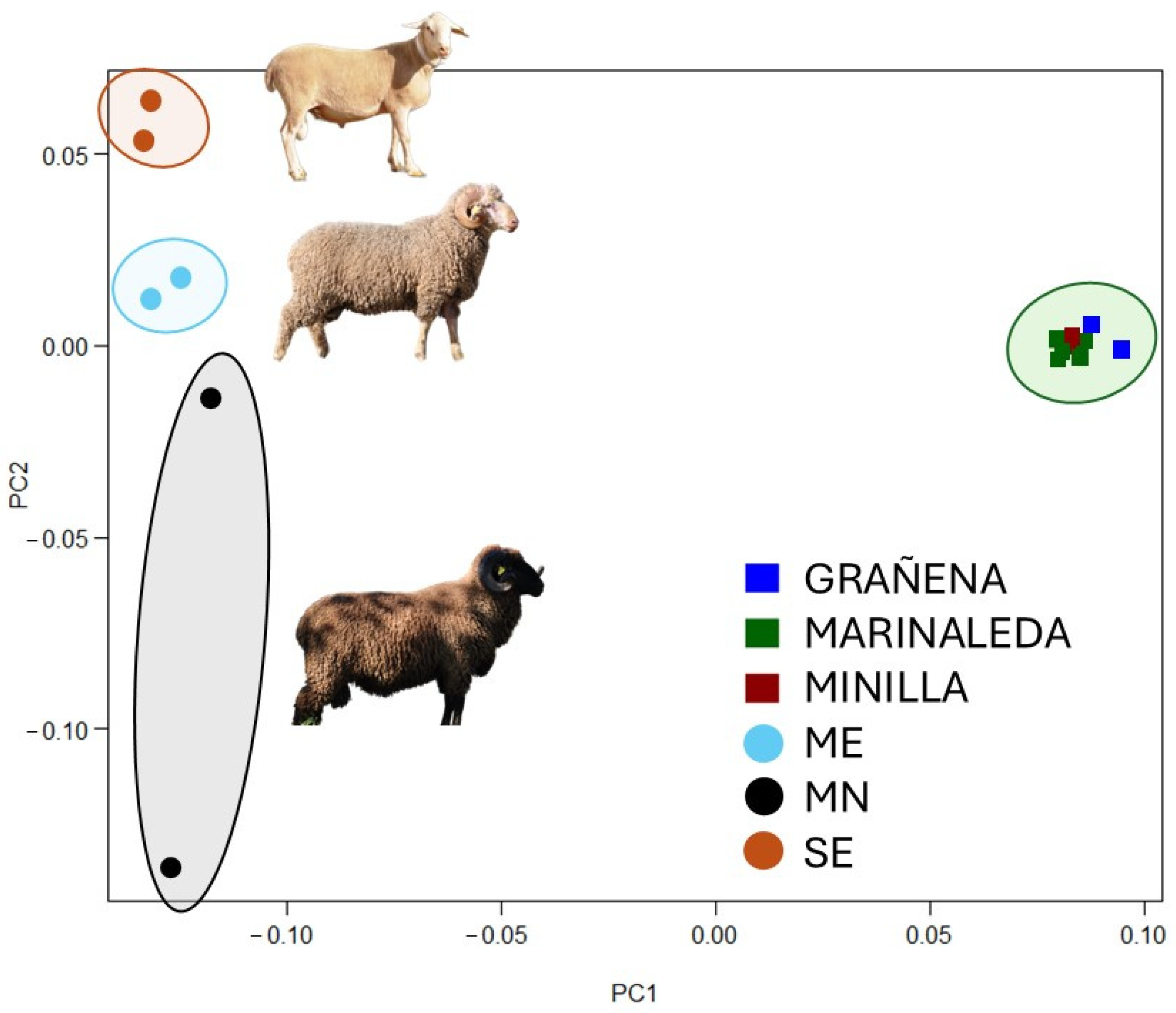 Animals 14 03693 g006