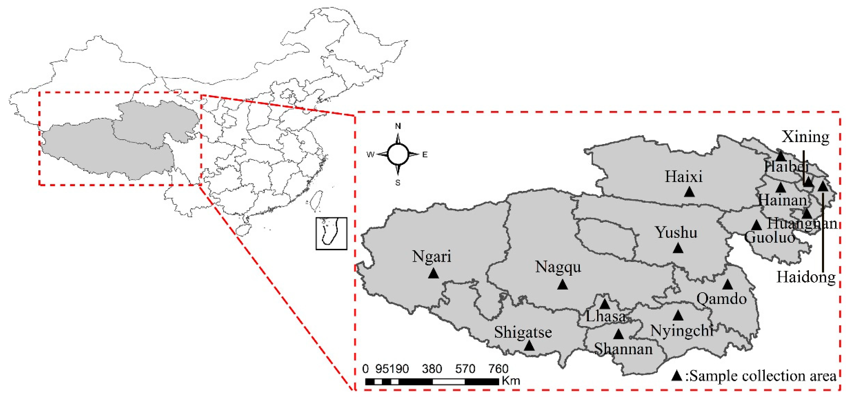 Animals 14 03697 g001