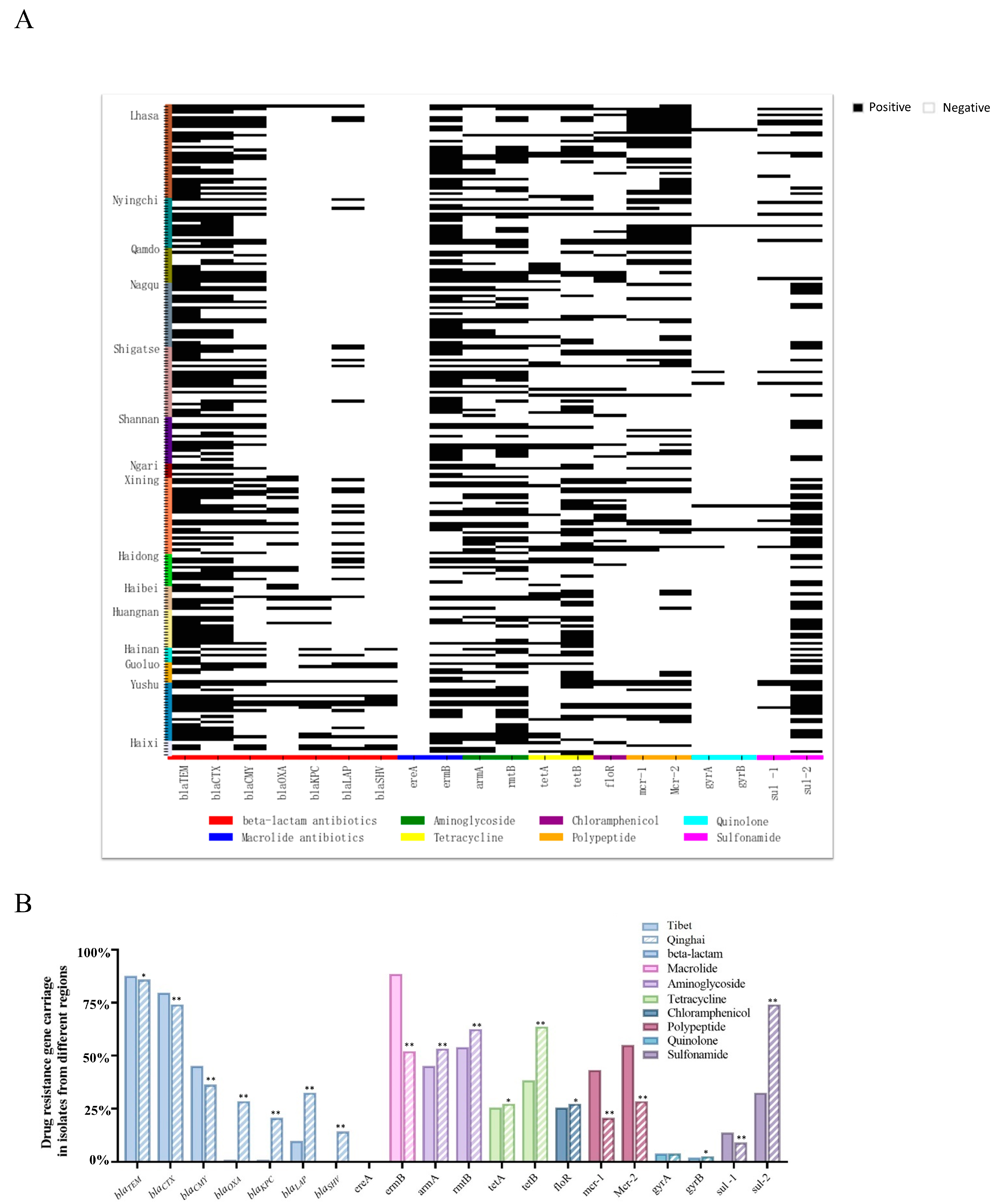 Animals 14 03697 g004