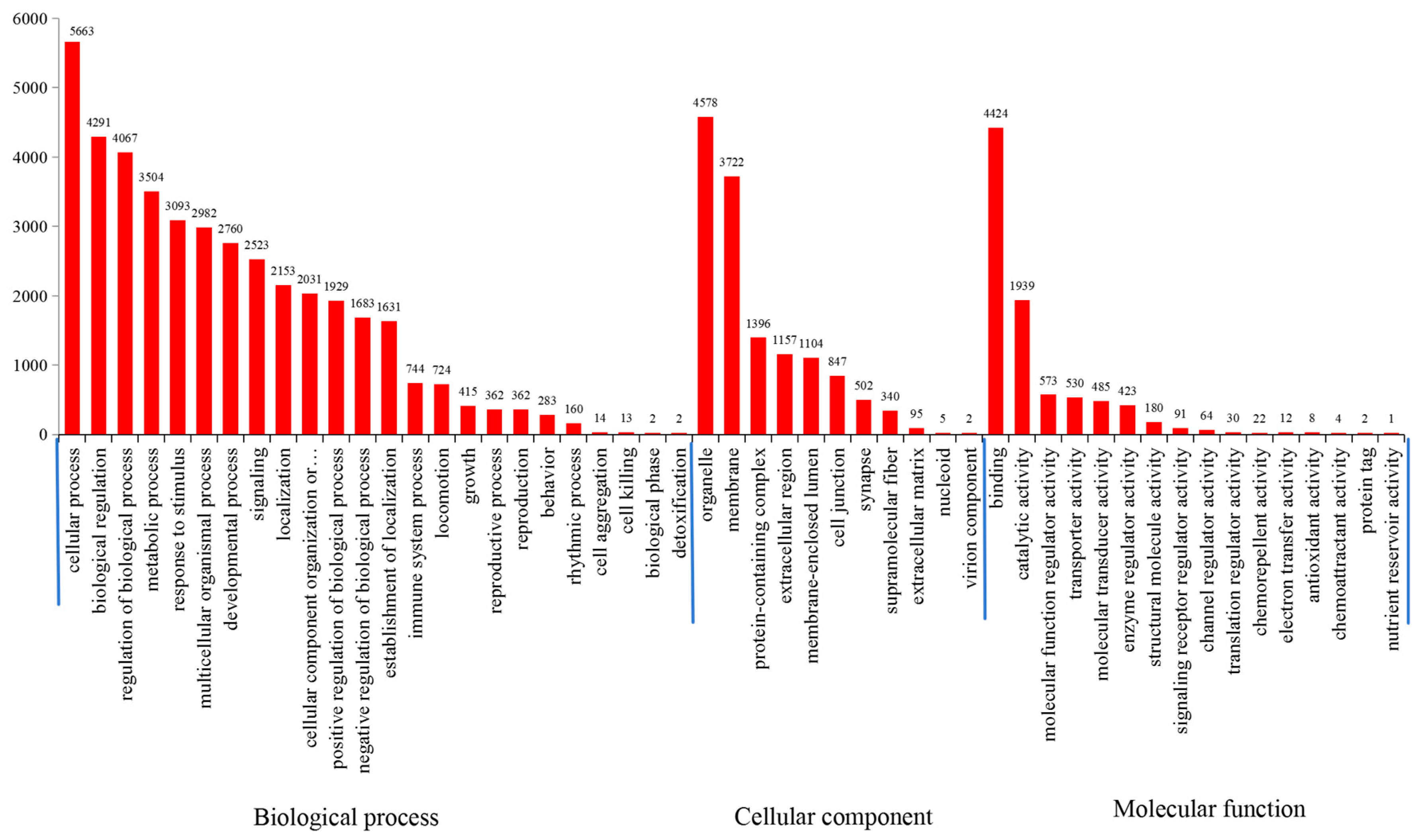Animals 14 03709 g006 Animals 14 03709 g006