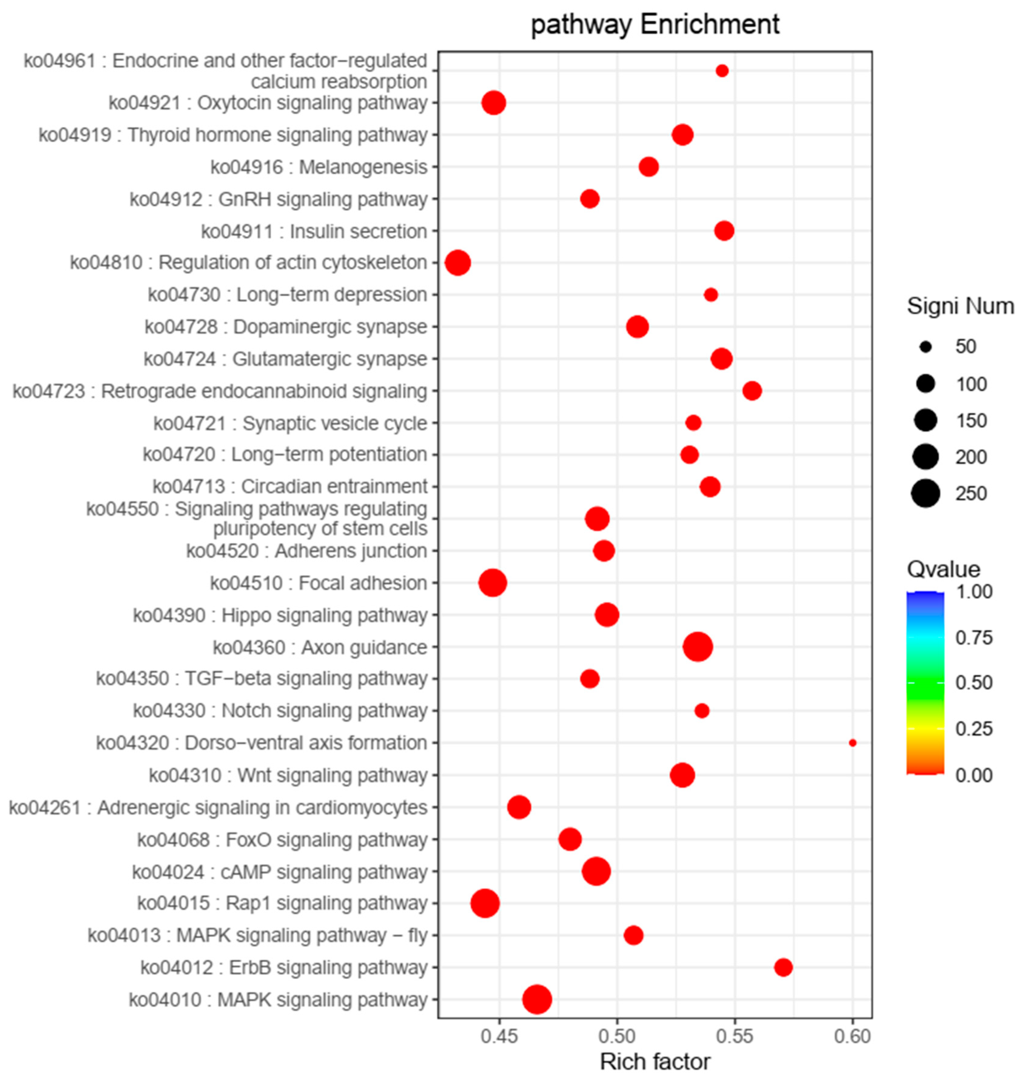 Animals 14 03709 g007 Animals 14 03709 g007