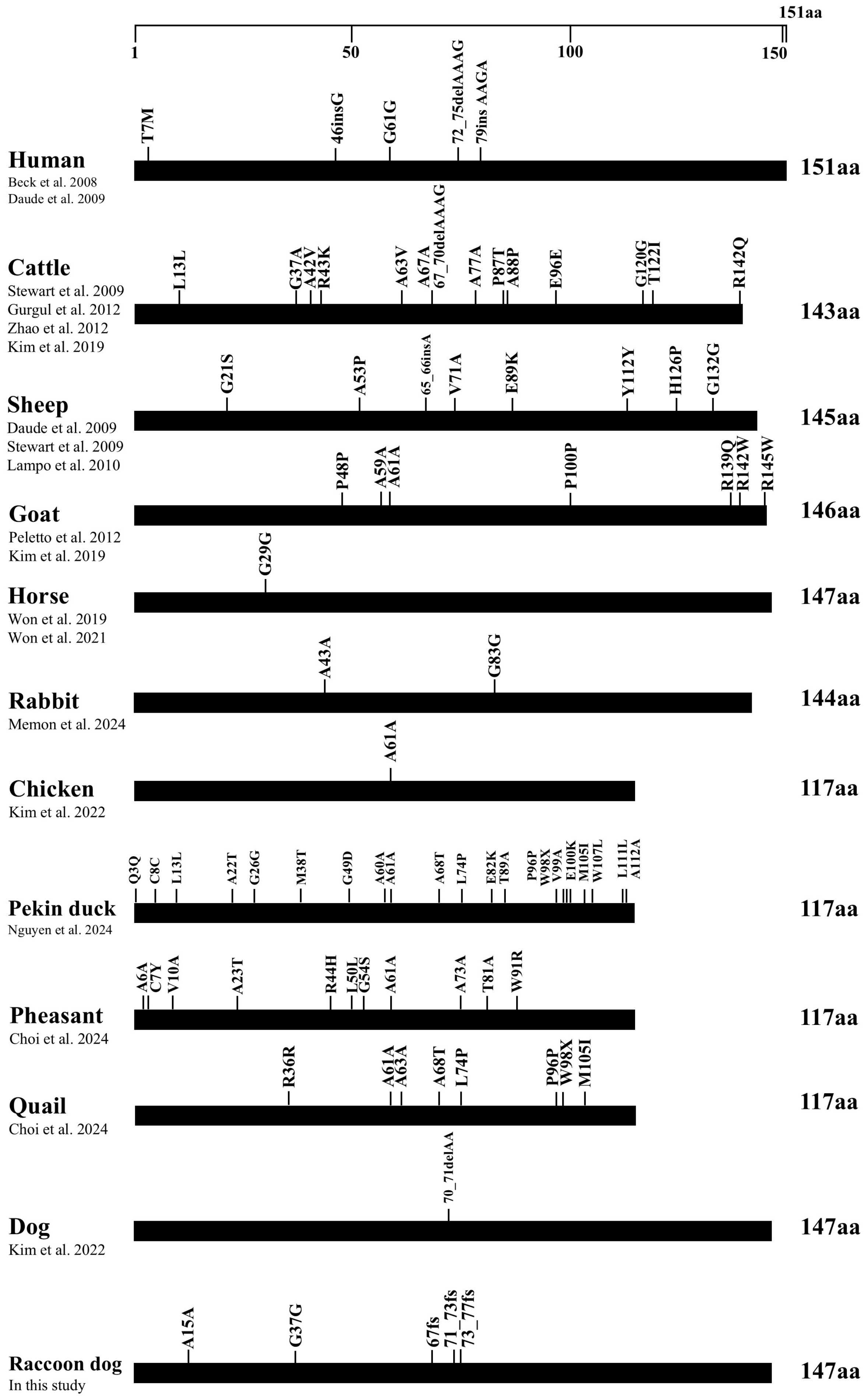 Animals 14 03716 g002