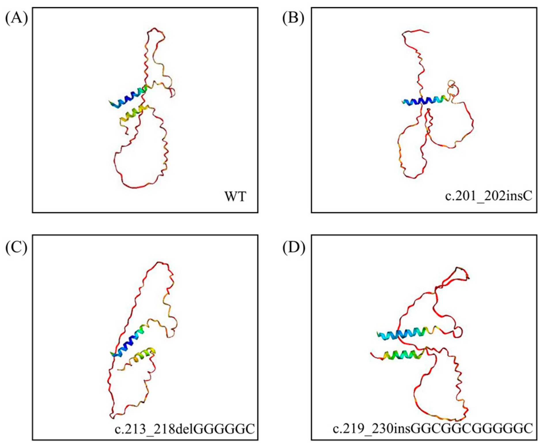 Animals 14 03716 g004
