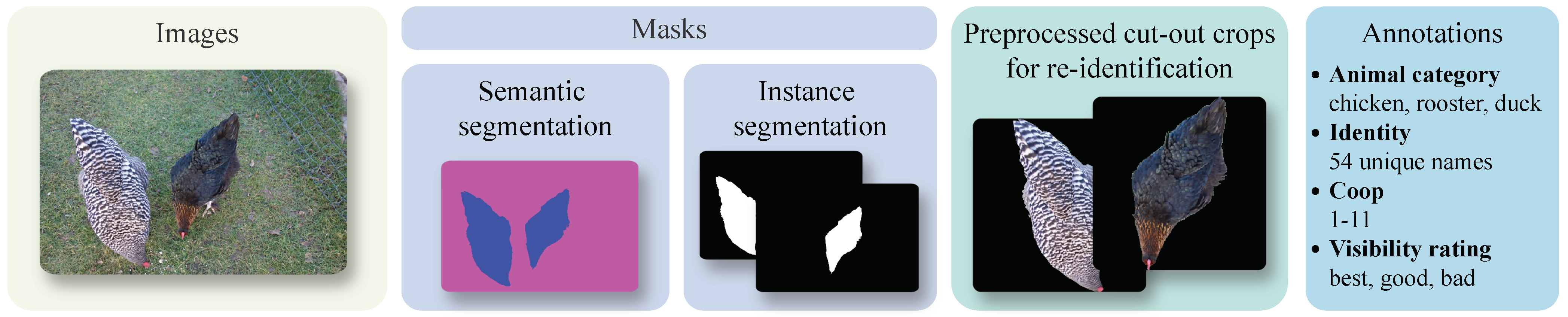 Animals 15 00001 g001