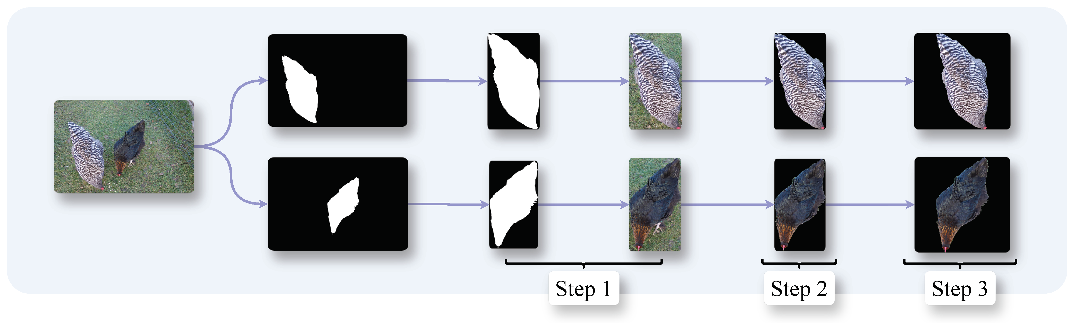 Animals 15 00001 g002