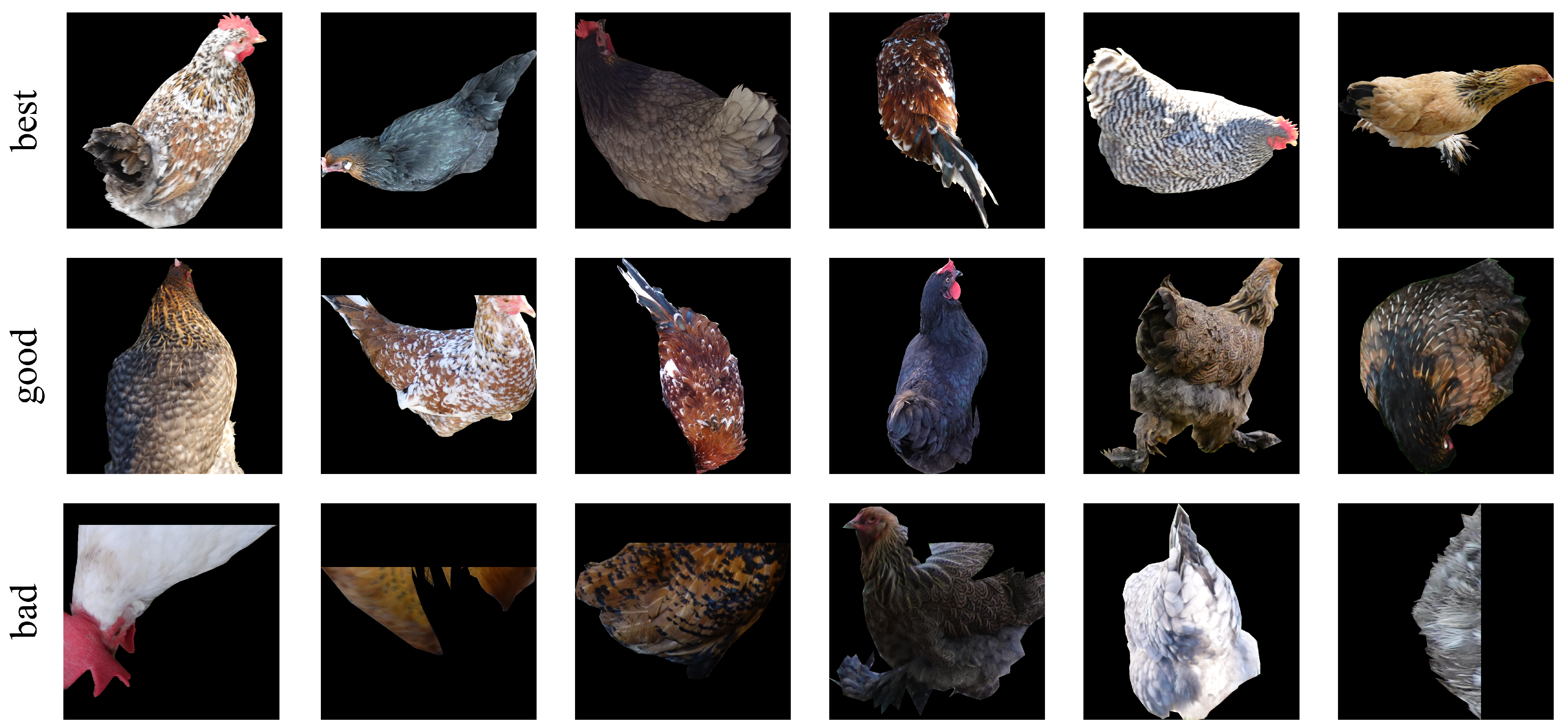 Animals 15 00001 g0a1