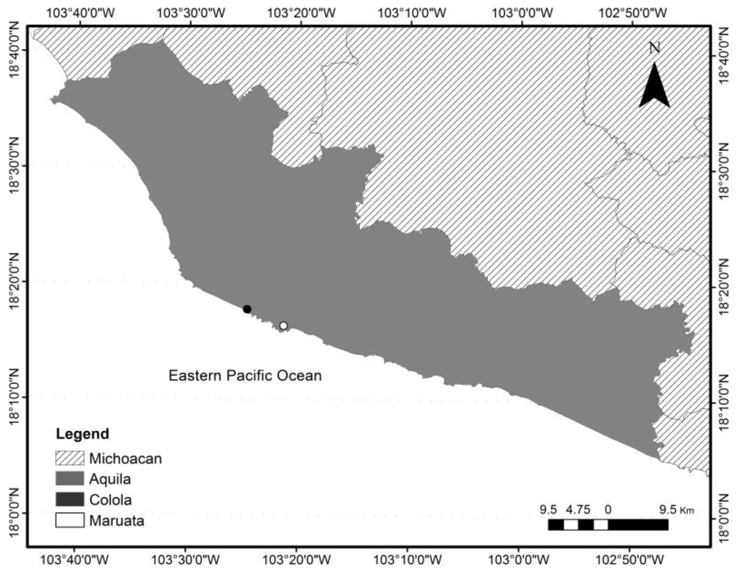 Animals 15 00002 g001 Animals 15 00002 g001