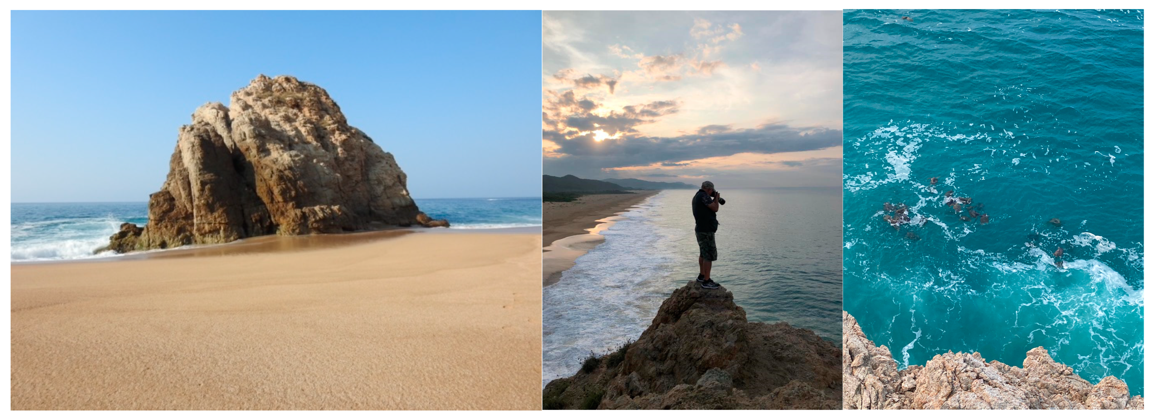 Animals 15 00002 g002 Animals 15 00002 g002