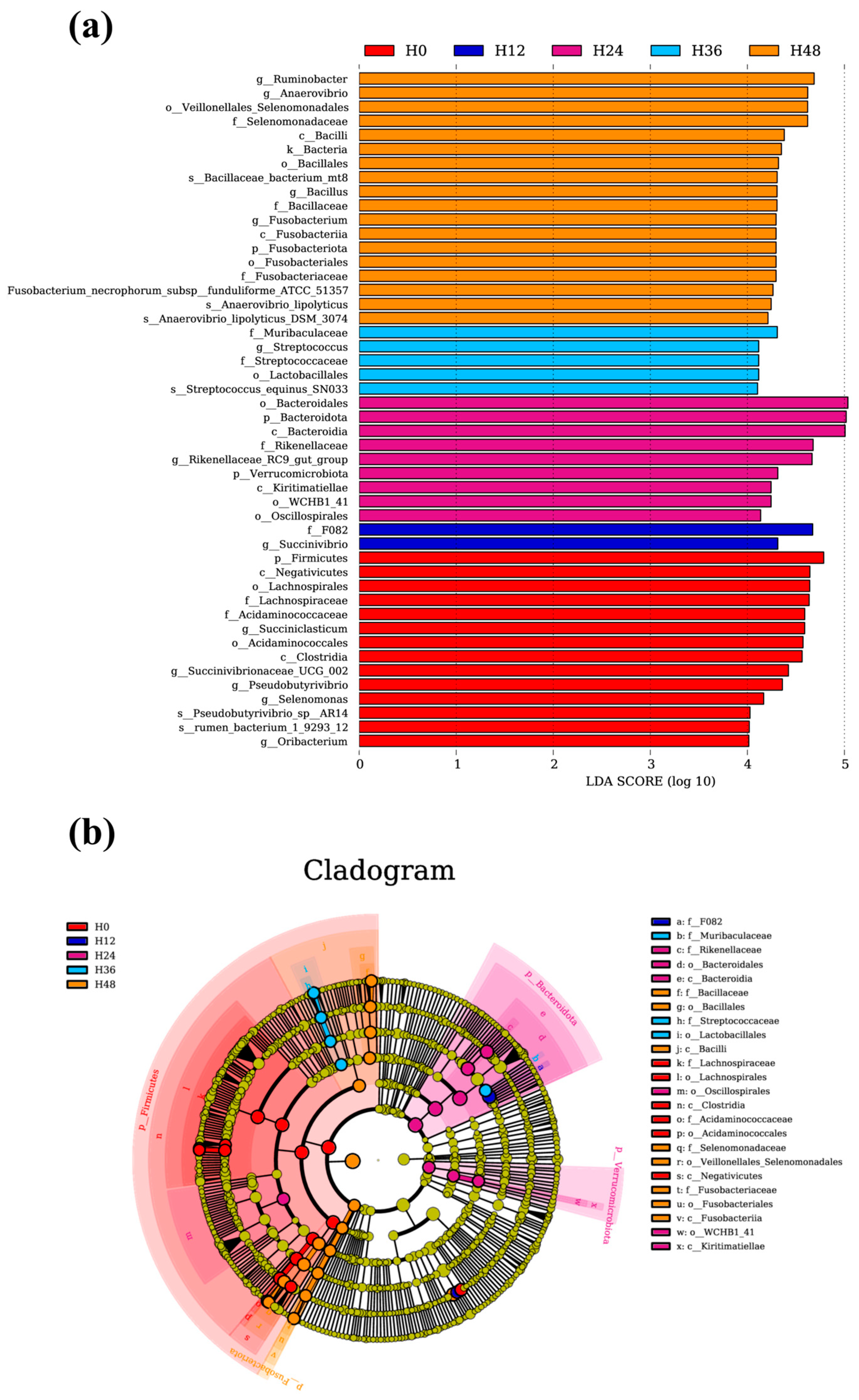 Animals 15 00005 g003
