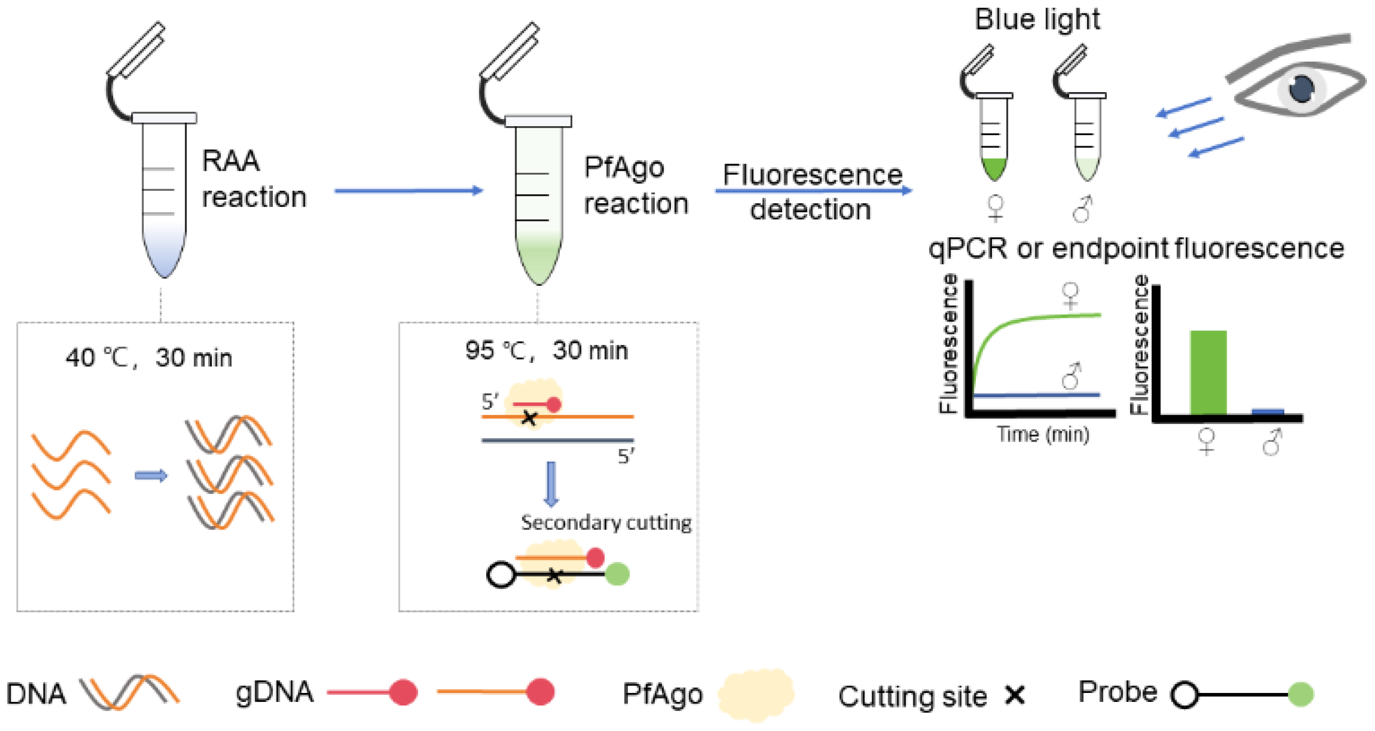 Animals 15 00007 g001