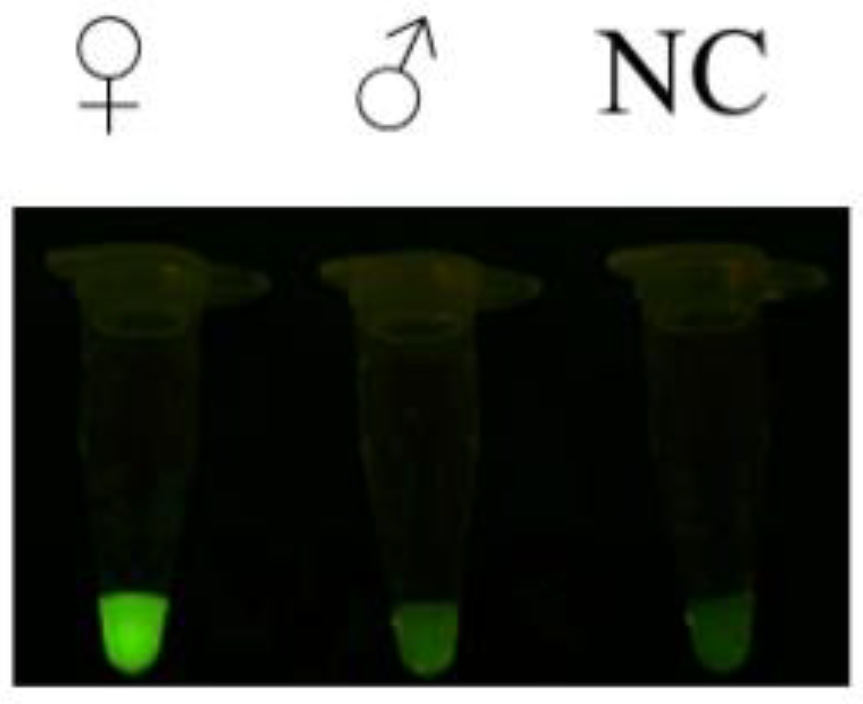 Animals 15 00007 g005