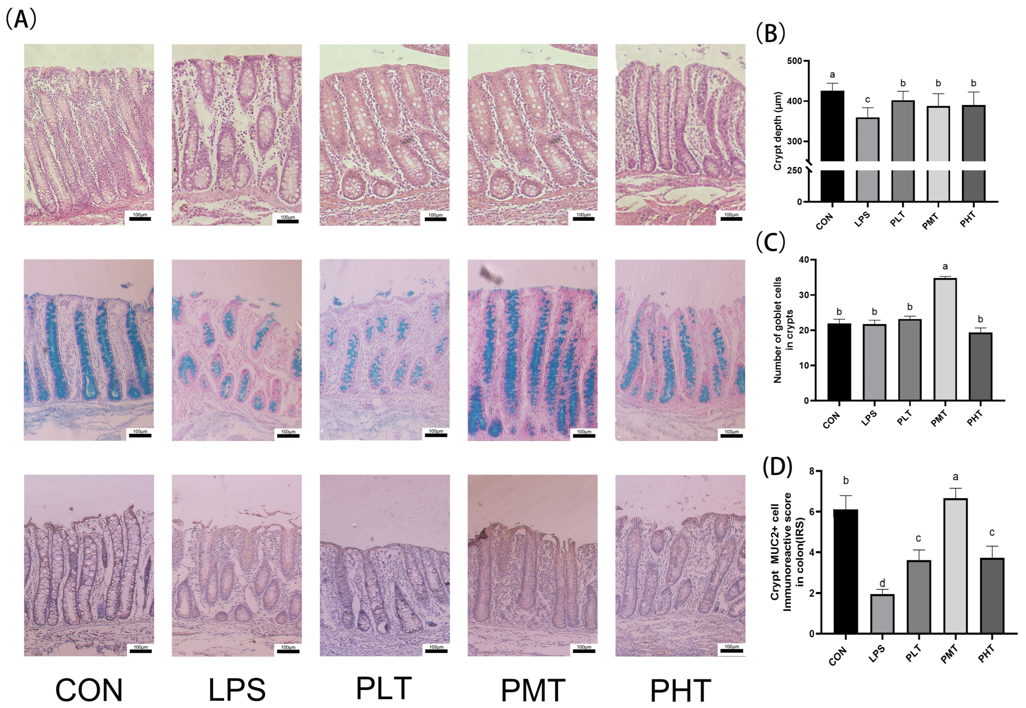 Animals 15 00009 g001