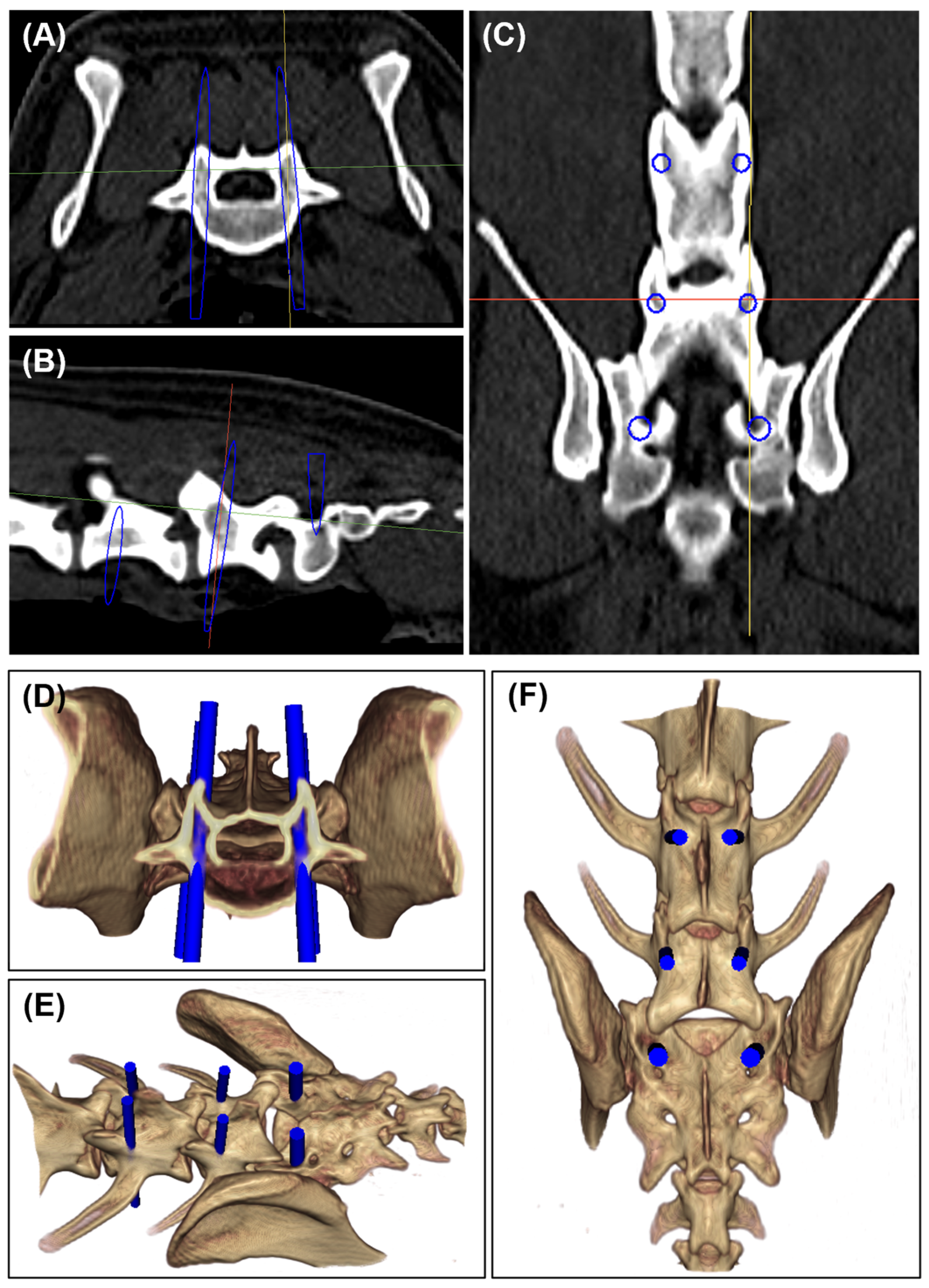 Animals 15 00014 g002