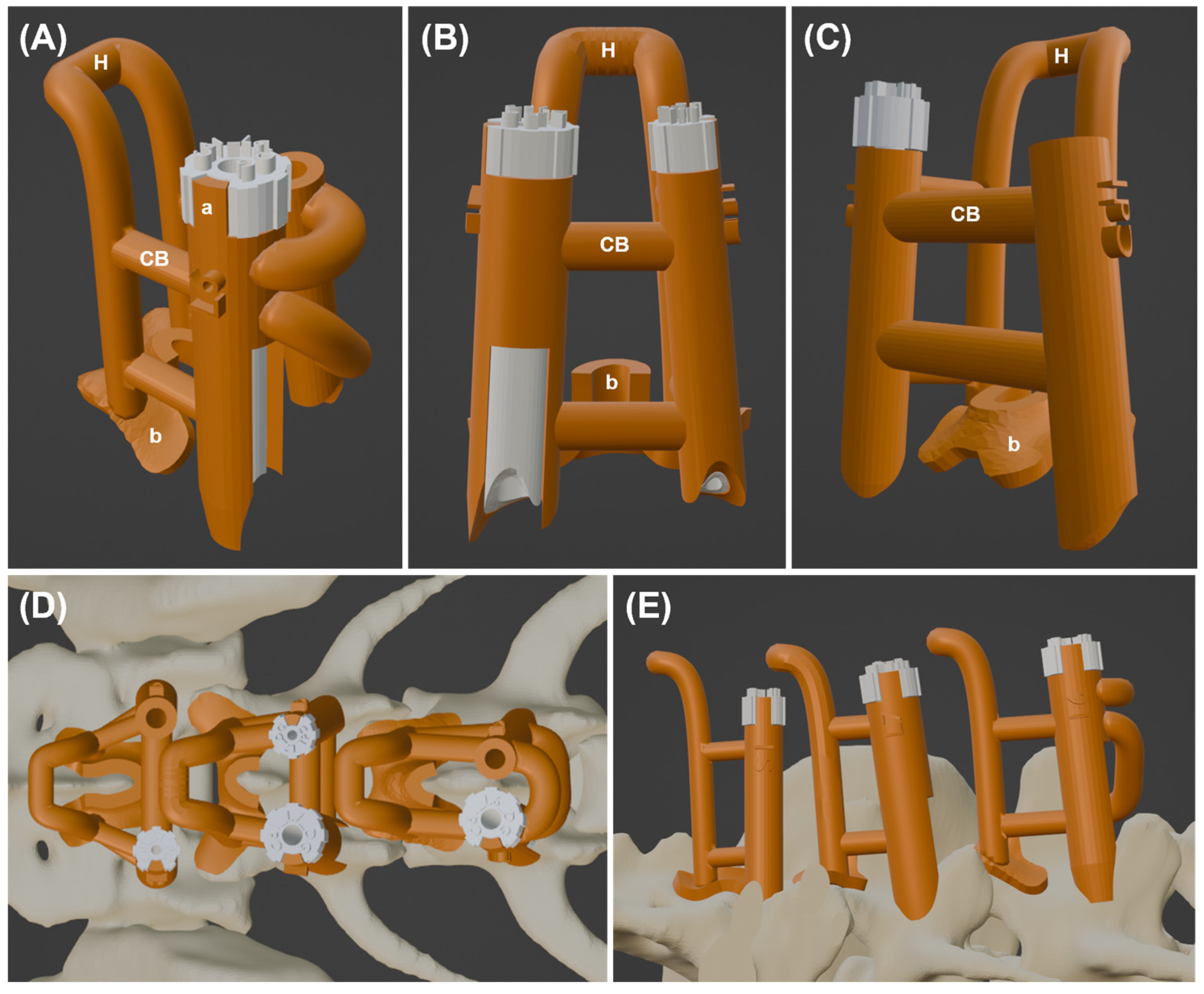 Animals 15 00014 g003