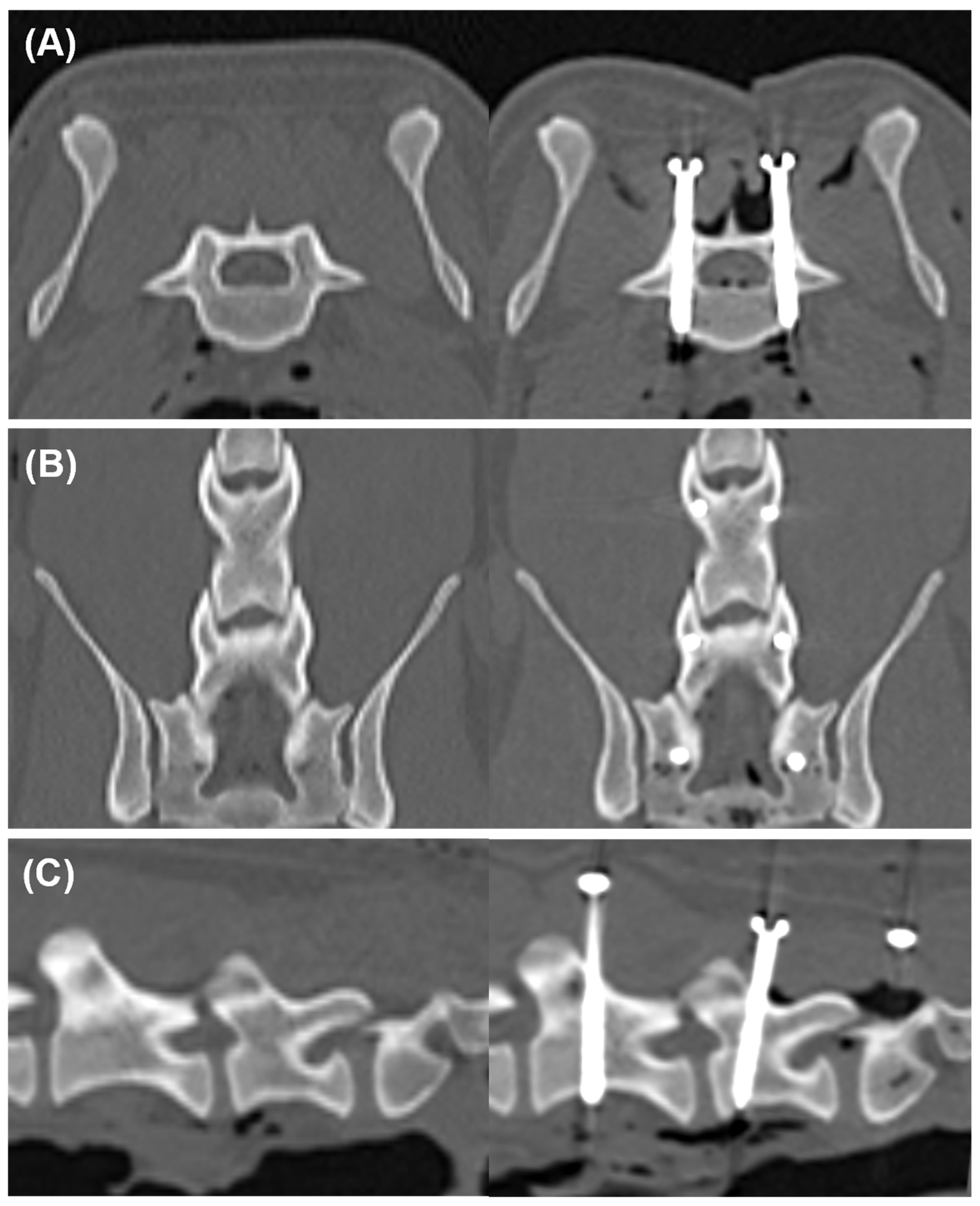 Animals 15 00014 g006