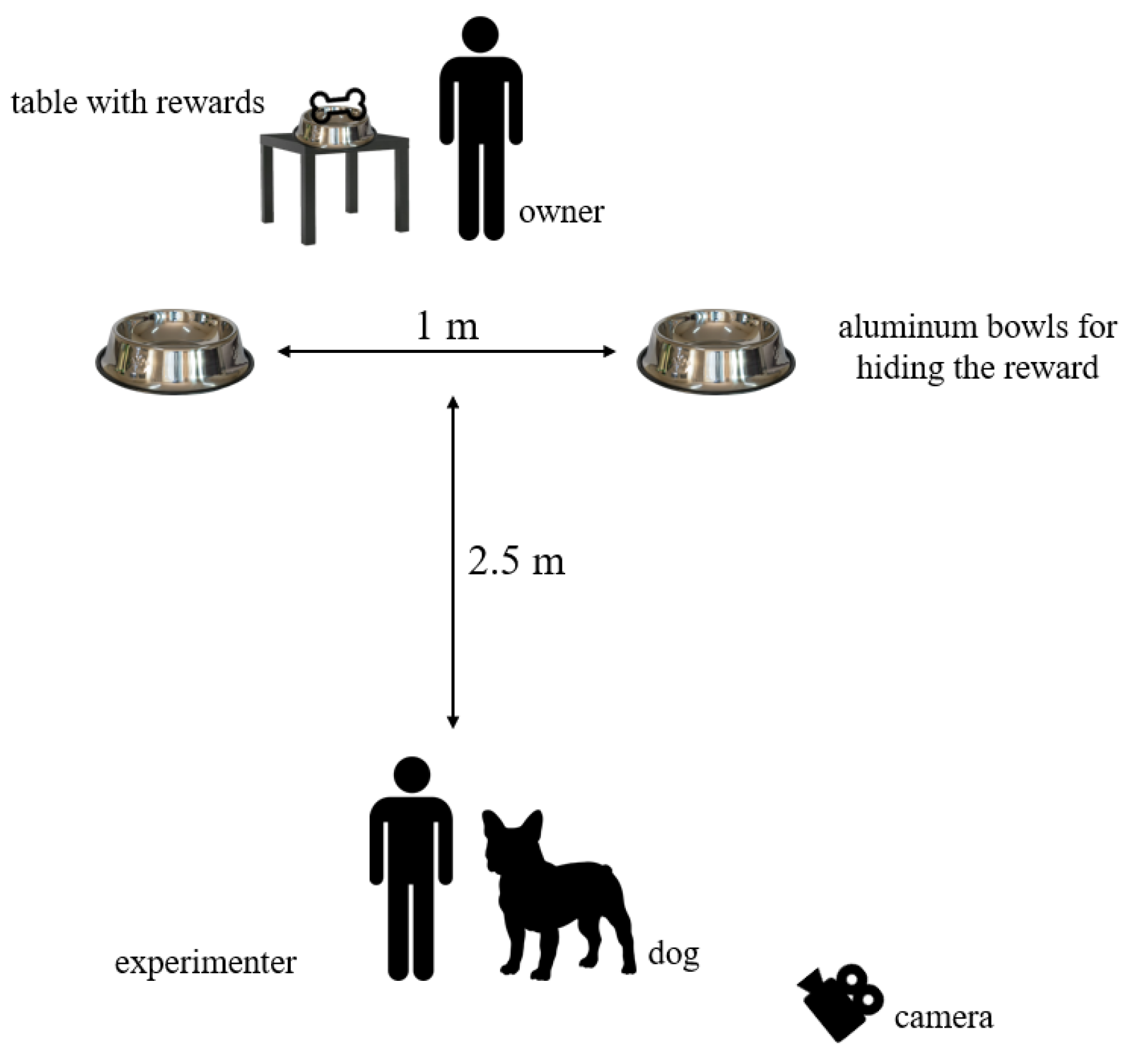 Animals 15 00017 g001