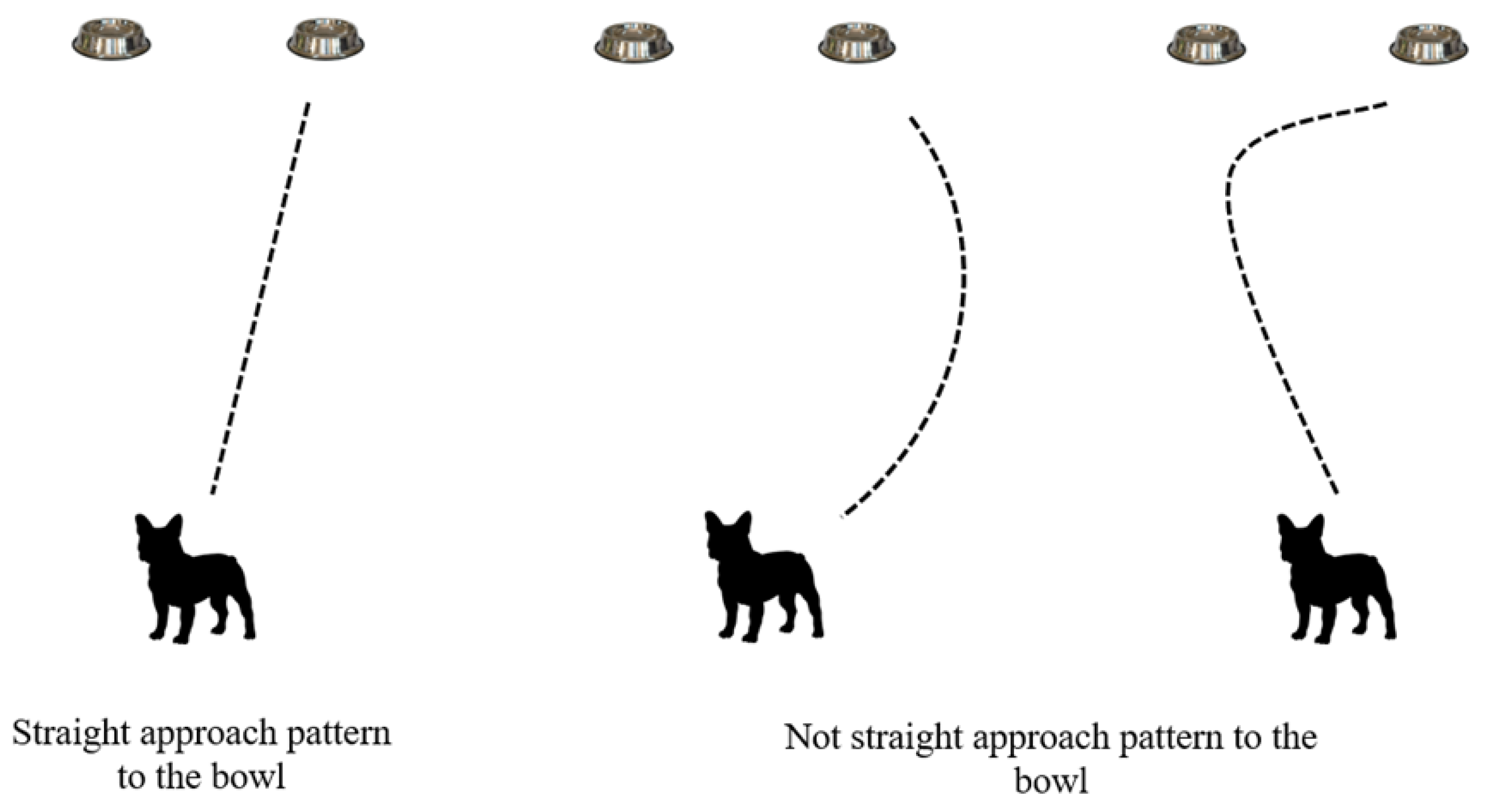 Animals 15 00017 g002